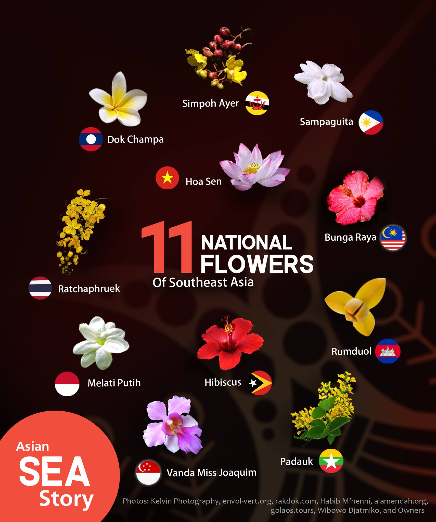 11 National Flowers of SEA r/indonesia
