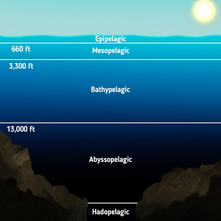 Hadal/ Abyssal? r/dredge