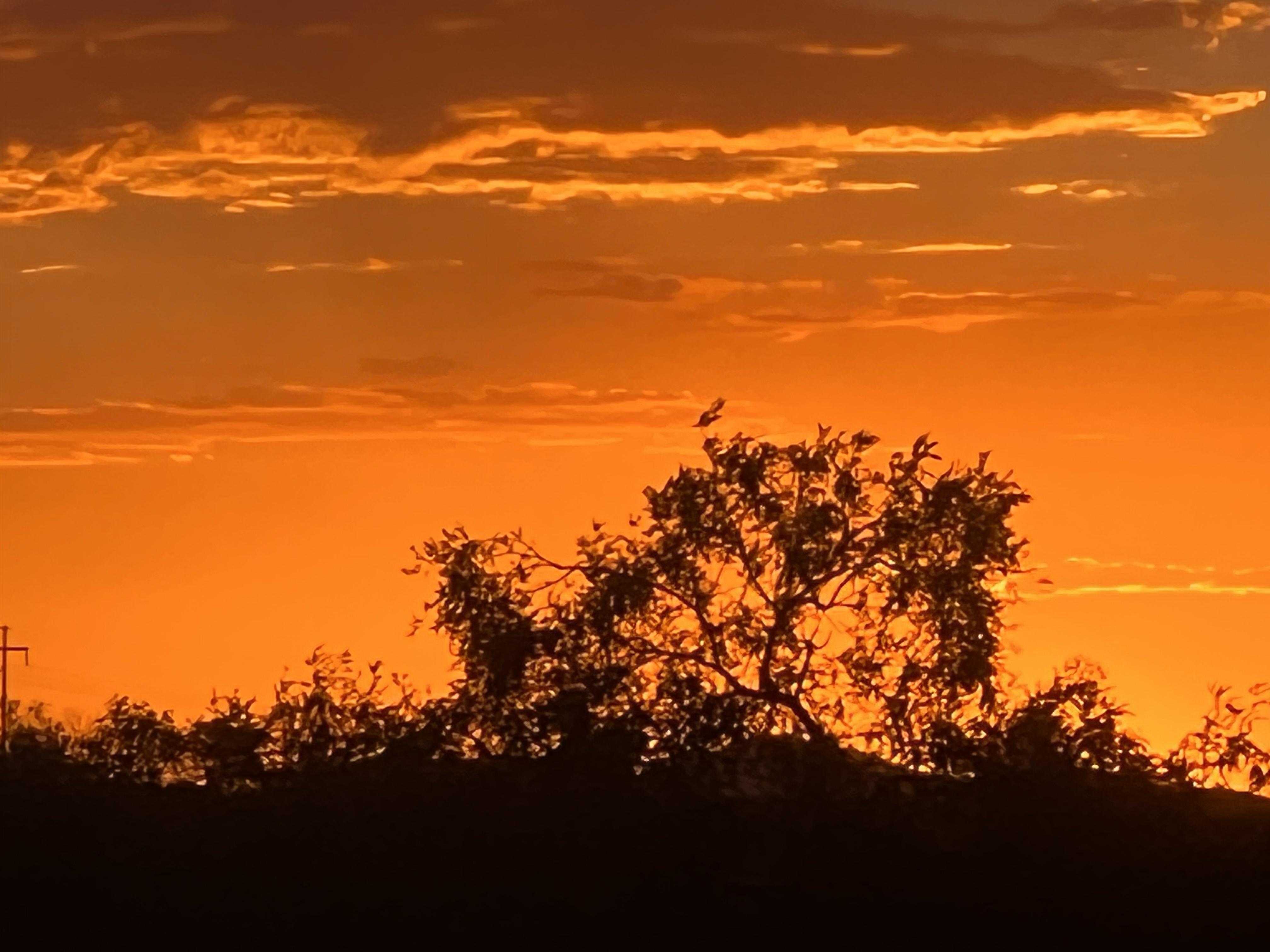 A Stunning Sundown In Sierra Vista AZ r/Tucson