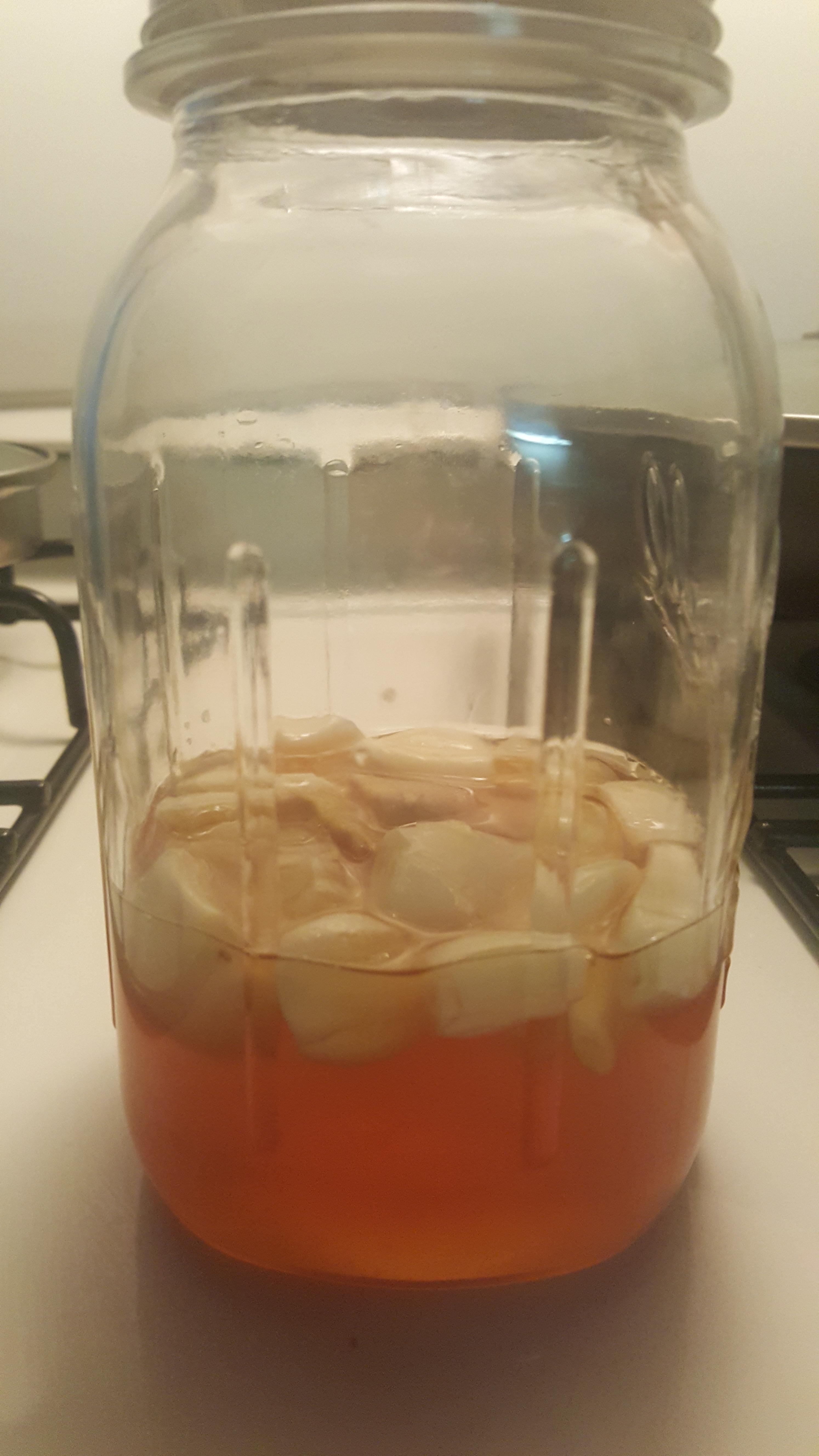 Day 1 of Fermenting garlic, ginger, and honey Should I be worried