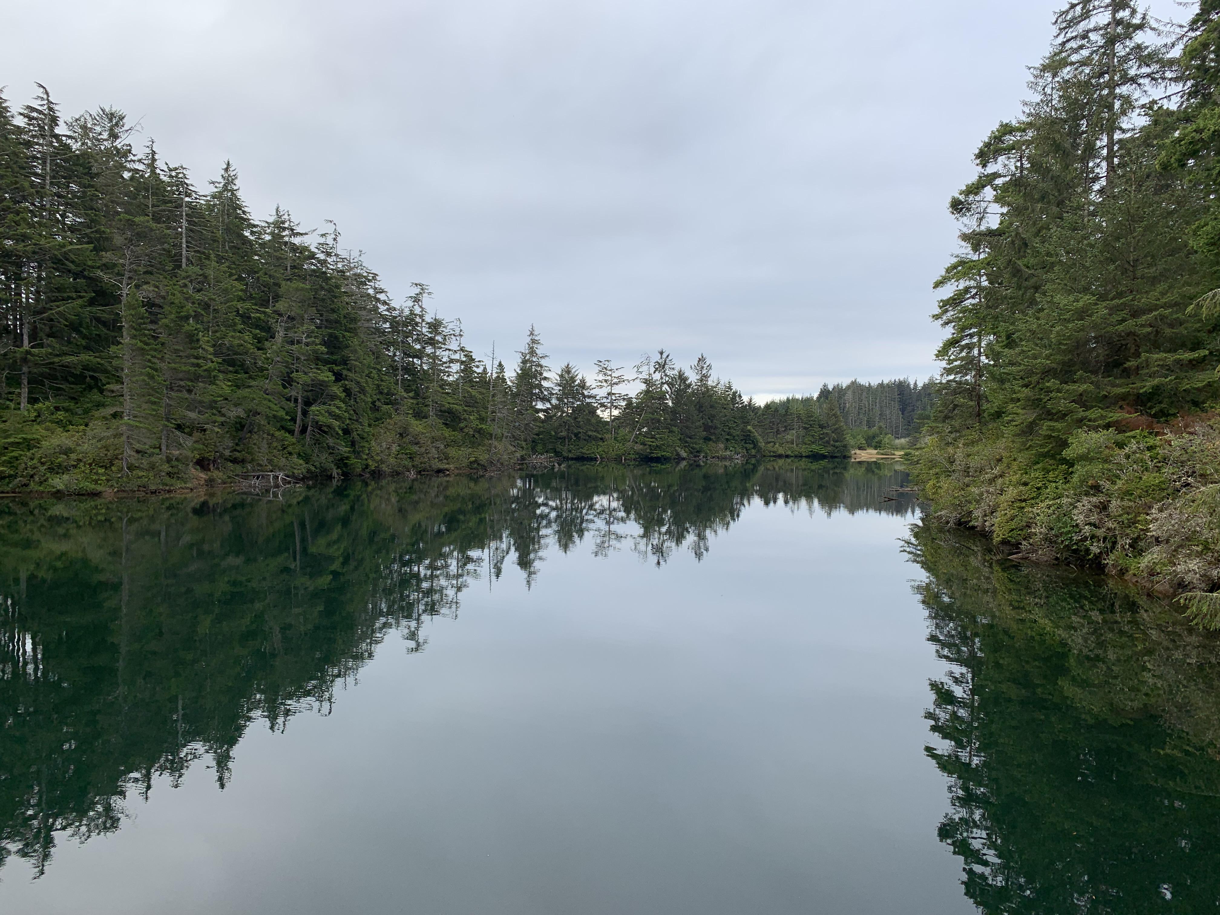 Woahink Lake near Florence looking like a mirror this morning. r/oregon