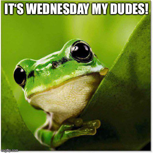 It’s Wednesday and you know it ;) r/frogs