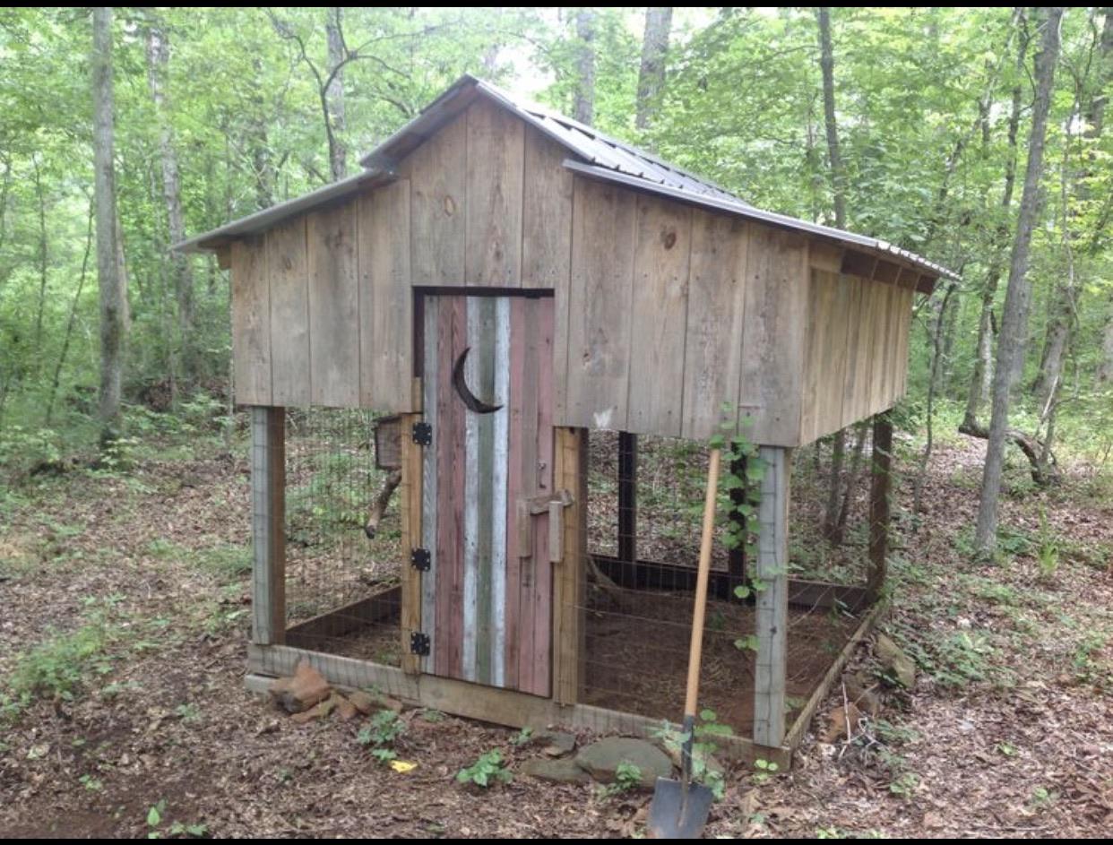 Our chicken coop built from salvaged materials r/homestead
