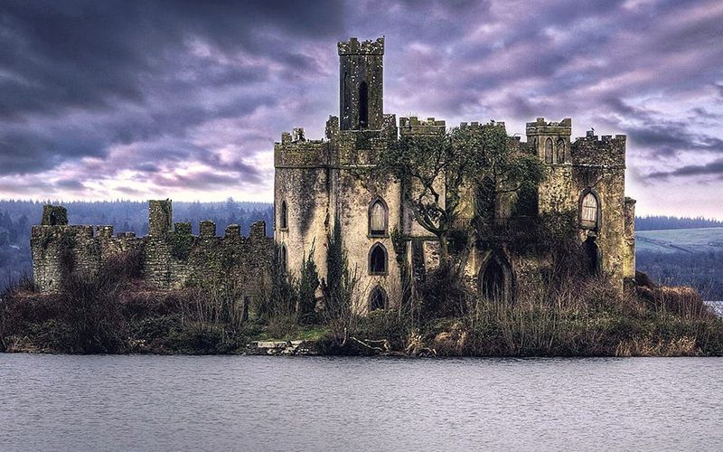 McDermott's Castle, County Ireland r/reclaimedbynature