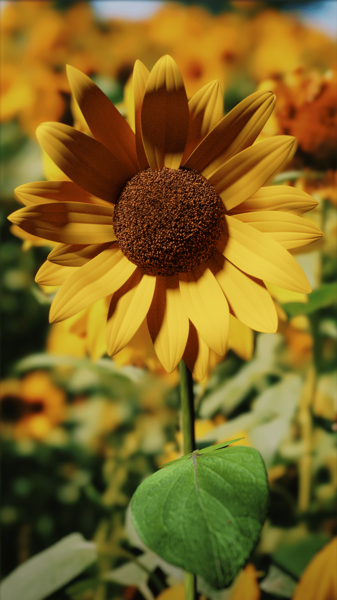 Sunflower r/blender
