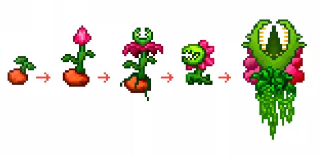 I drew the growth of Plantera r/Terraria