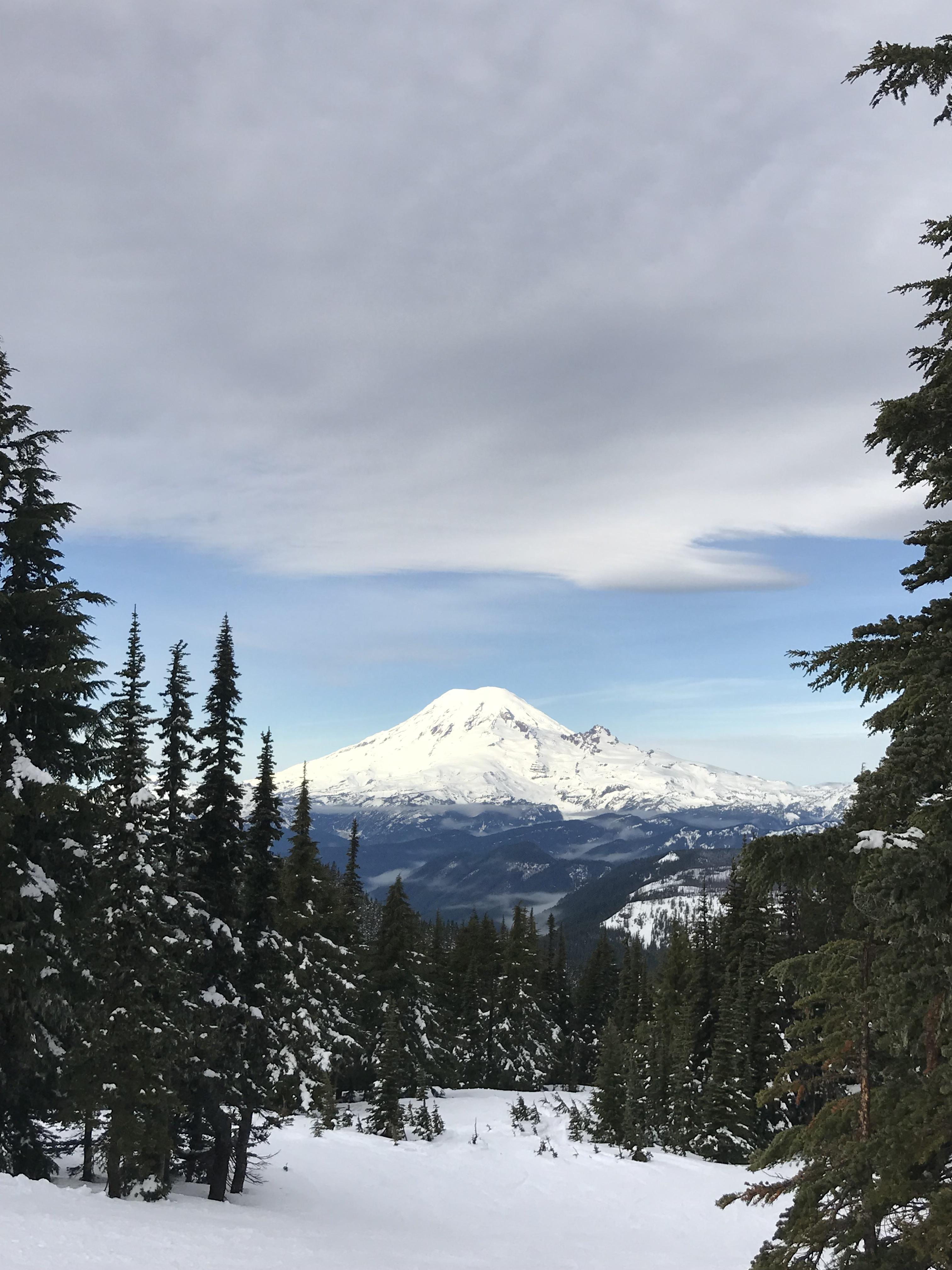 The view from White Pass. r/WashingtonState