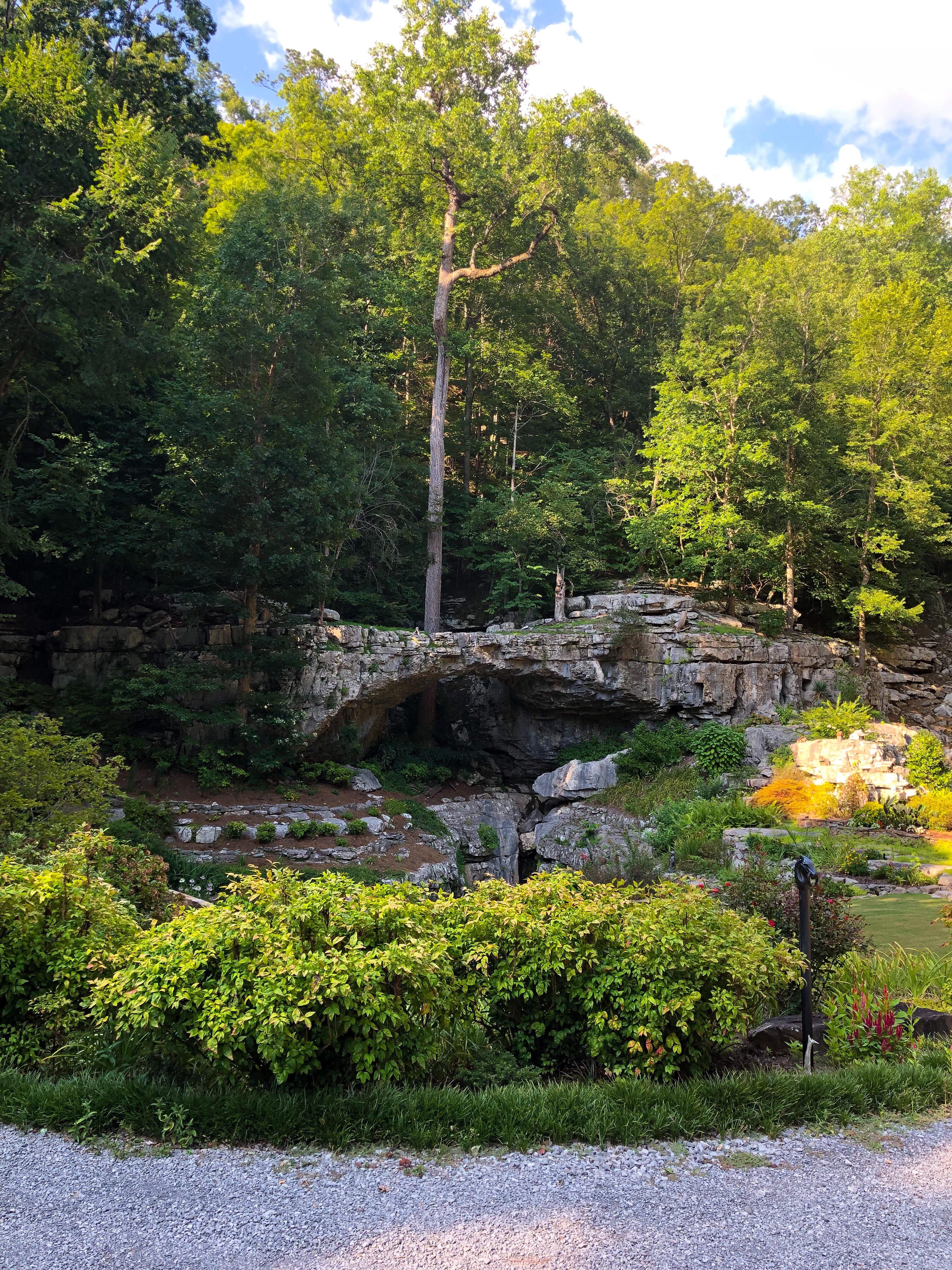 Natural rock bridge (Guntersville, AL) r/Alabama