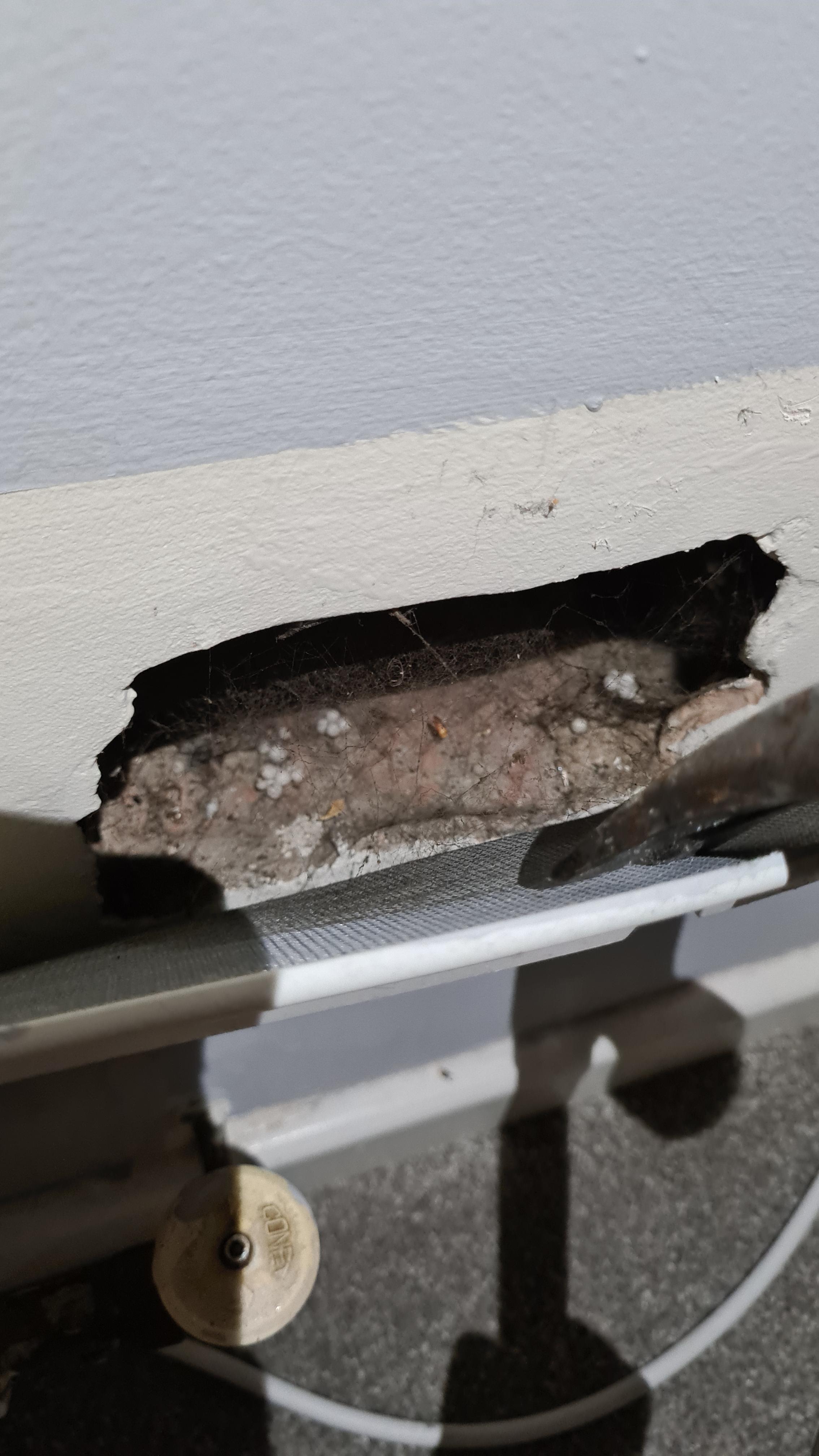 Having a silverfish issue atm and decided to look into the vent. Found