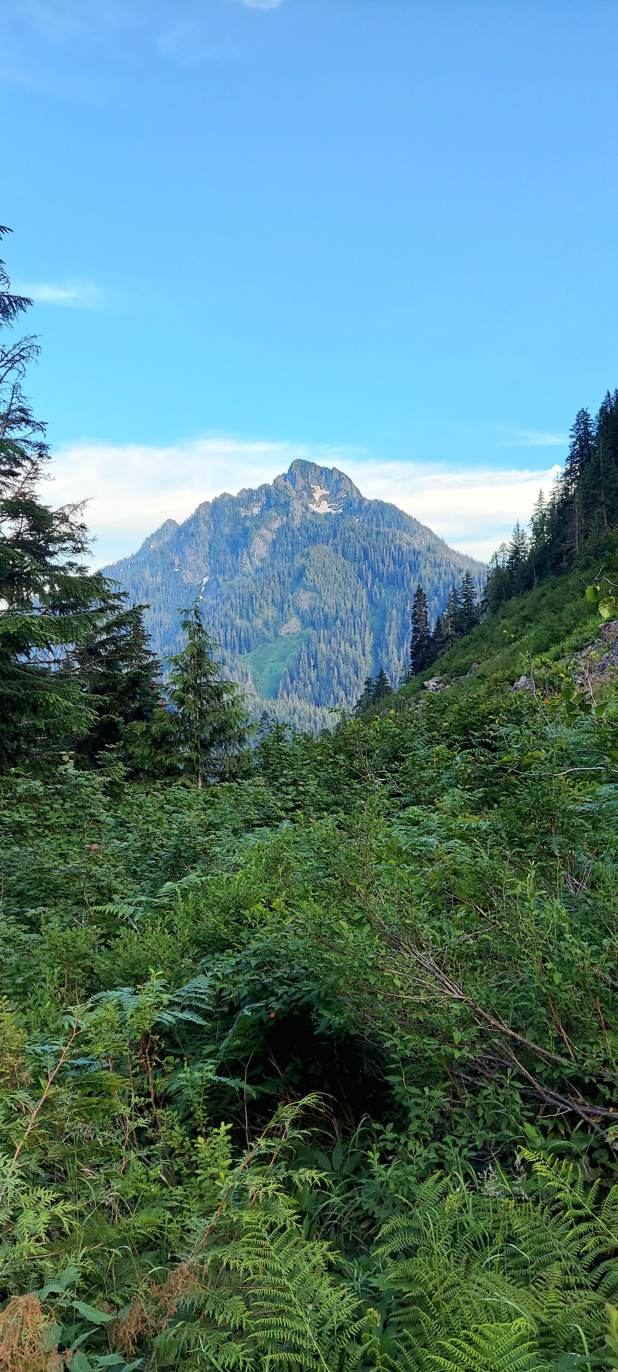 [OC]Marten Lake Trail Views. Mt. Baker/Snoqualmie National Forest, WA [2084x4624] EarthPorn