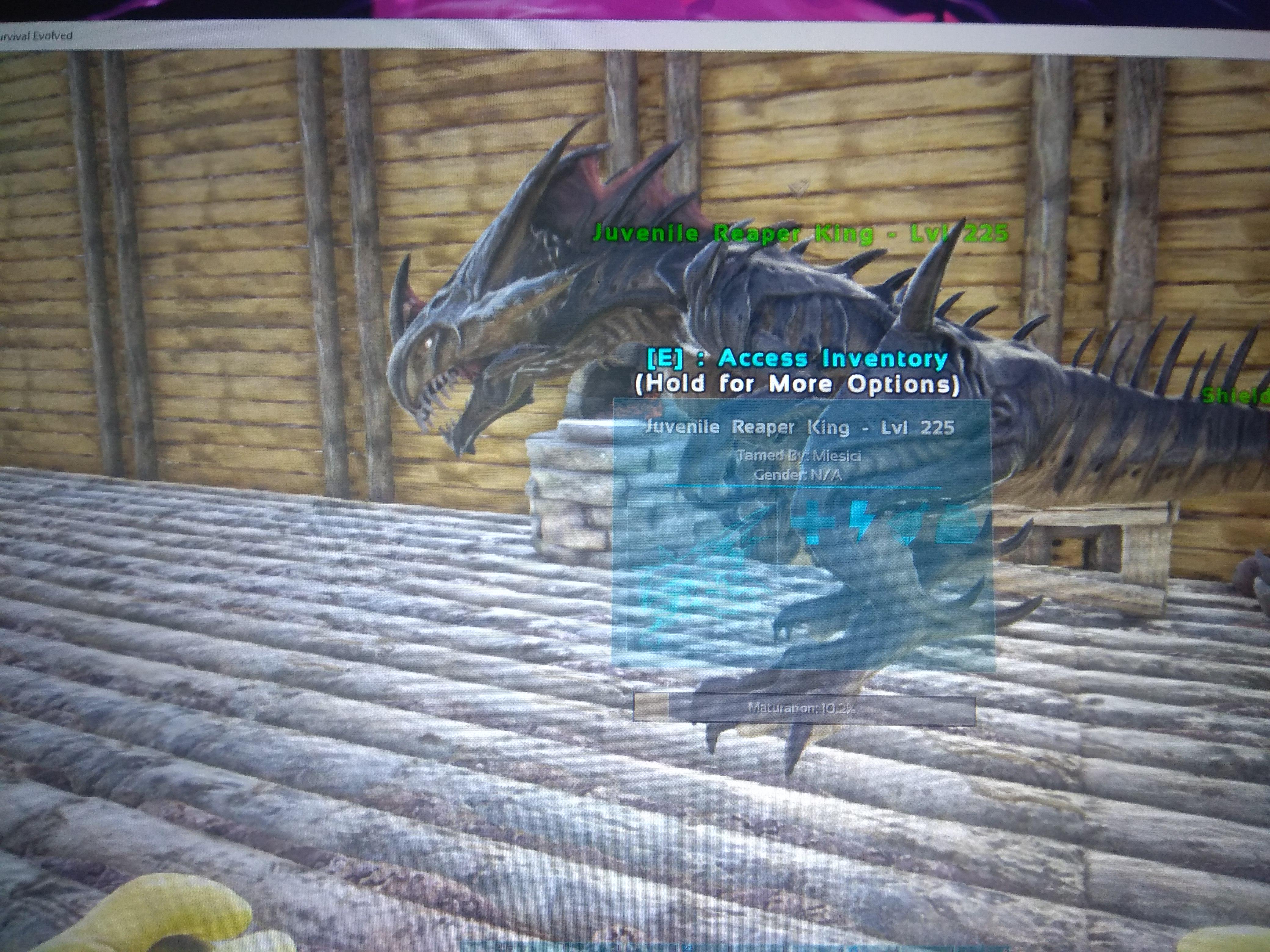 vinna asiatiska sanning ark reaper queen location