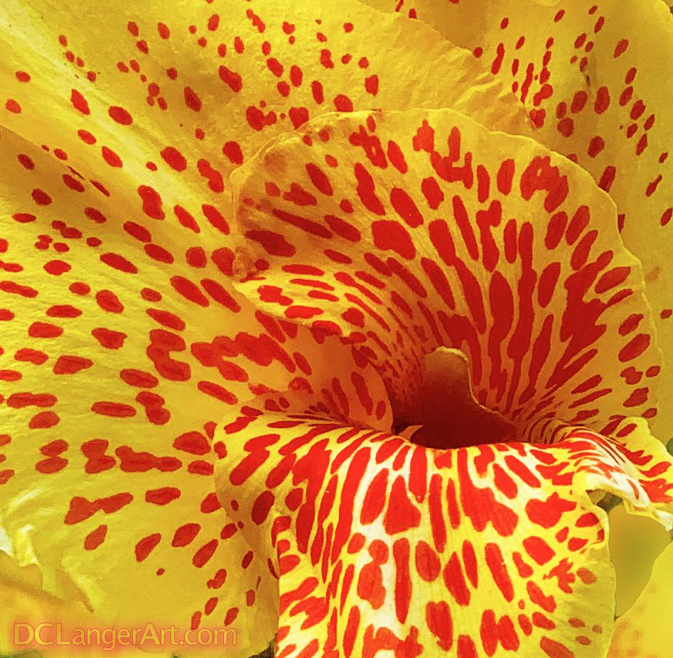 I don't know the name. Here is a closeup, zoomed in view of this