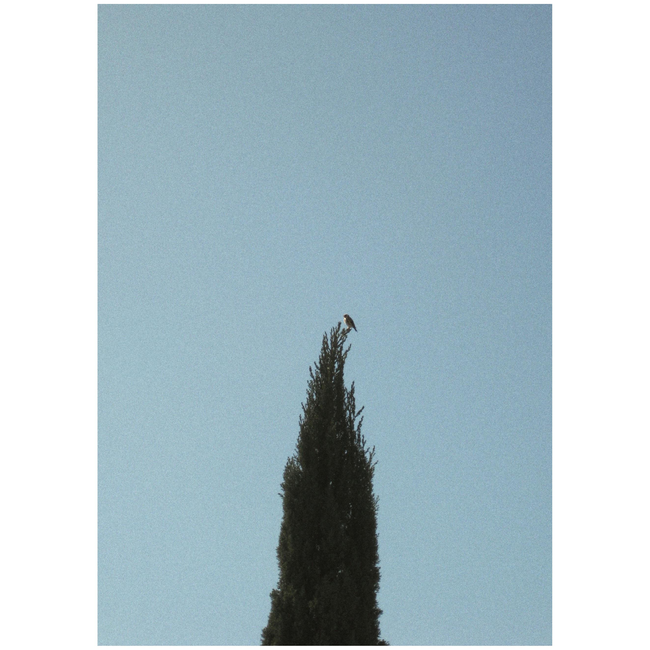 On top of the world. Canon IXUS 80 IS : r/VintageDigitalCameras