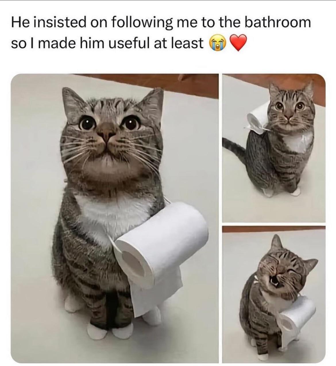 Restroom Attendant r/MadeMeSmile