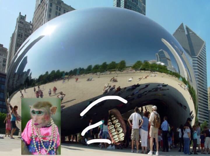 Do you throw out your gold teeth? r/steelydancirclejerk