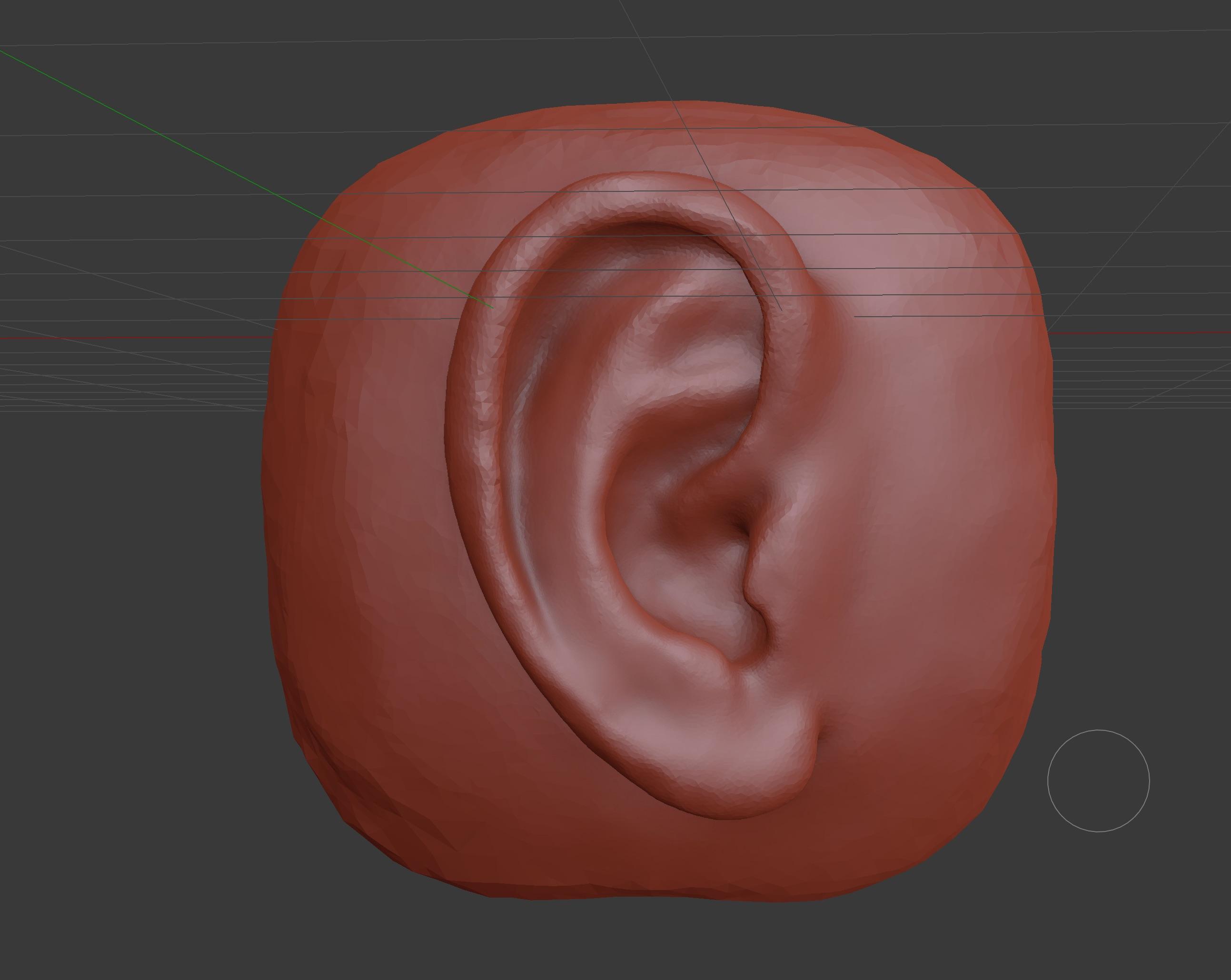Downloaded blender watched a tutorial and sculpted this ear r/blender