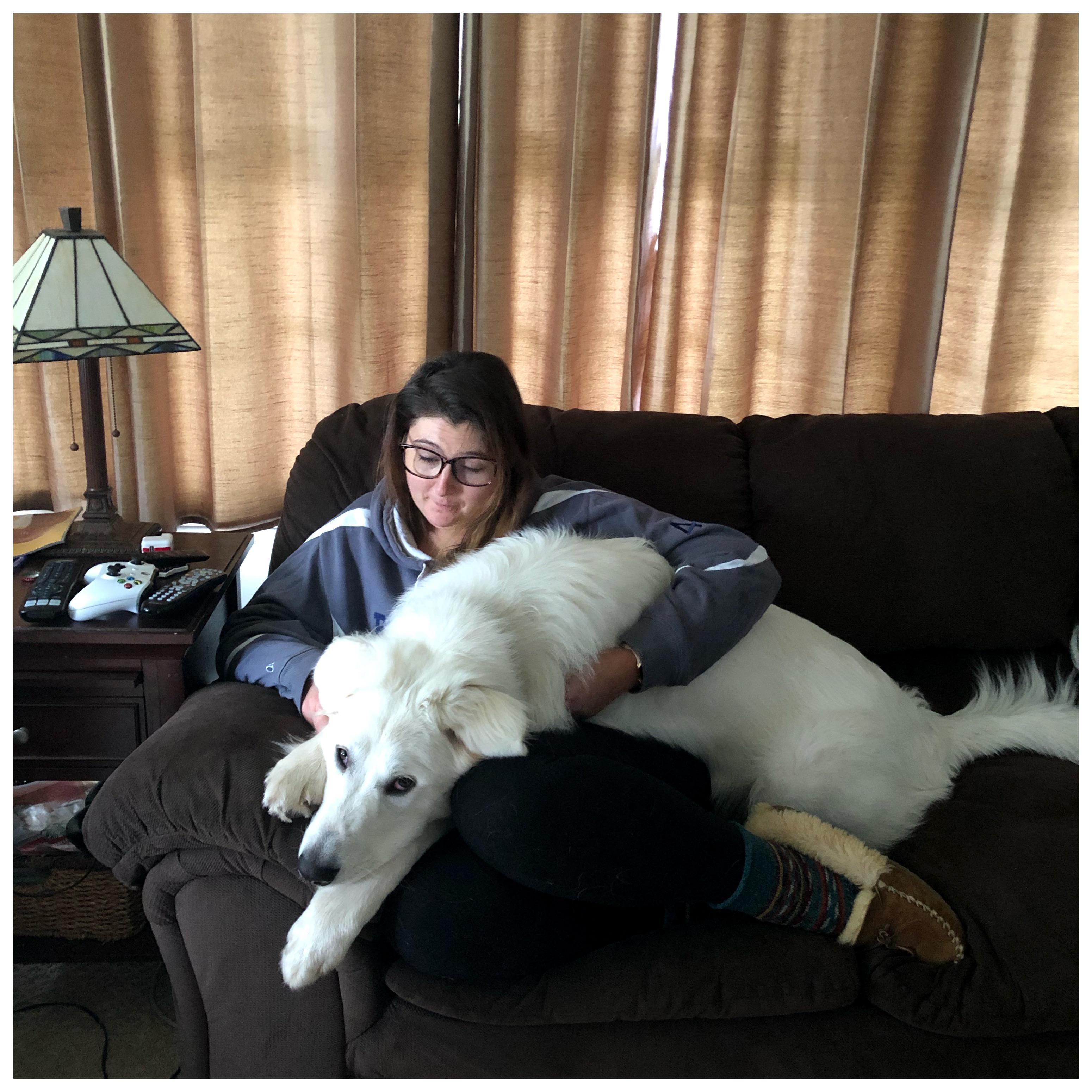 Macklin, the almost 9month old, 90 pound lap dog, with his favorite