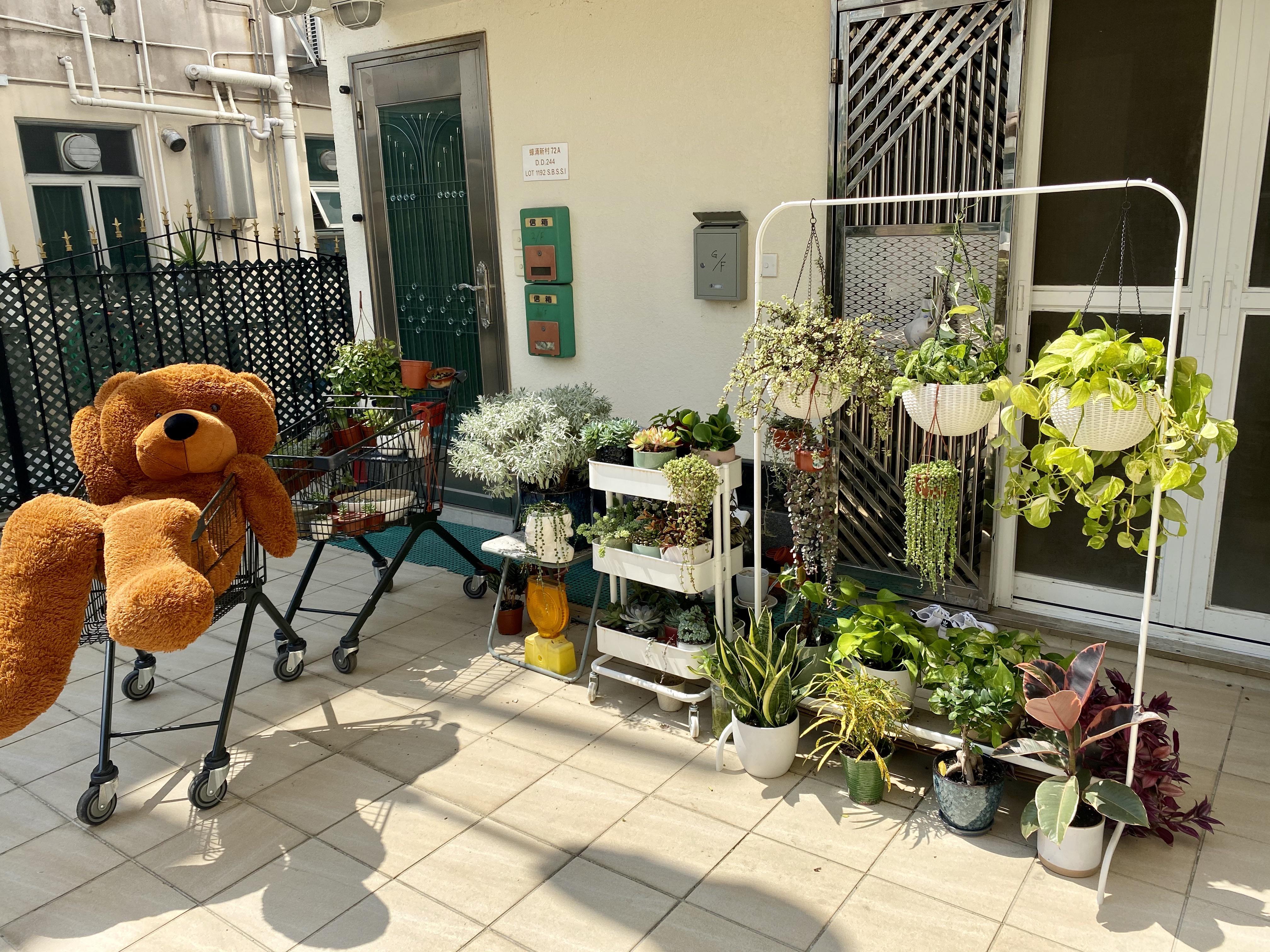 Quarantine tips Please do not overwater your plants out of boredom