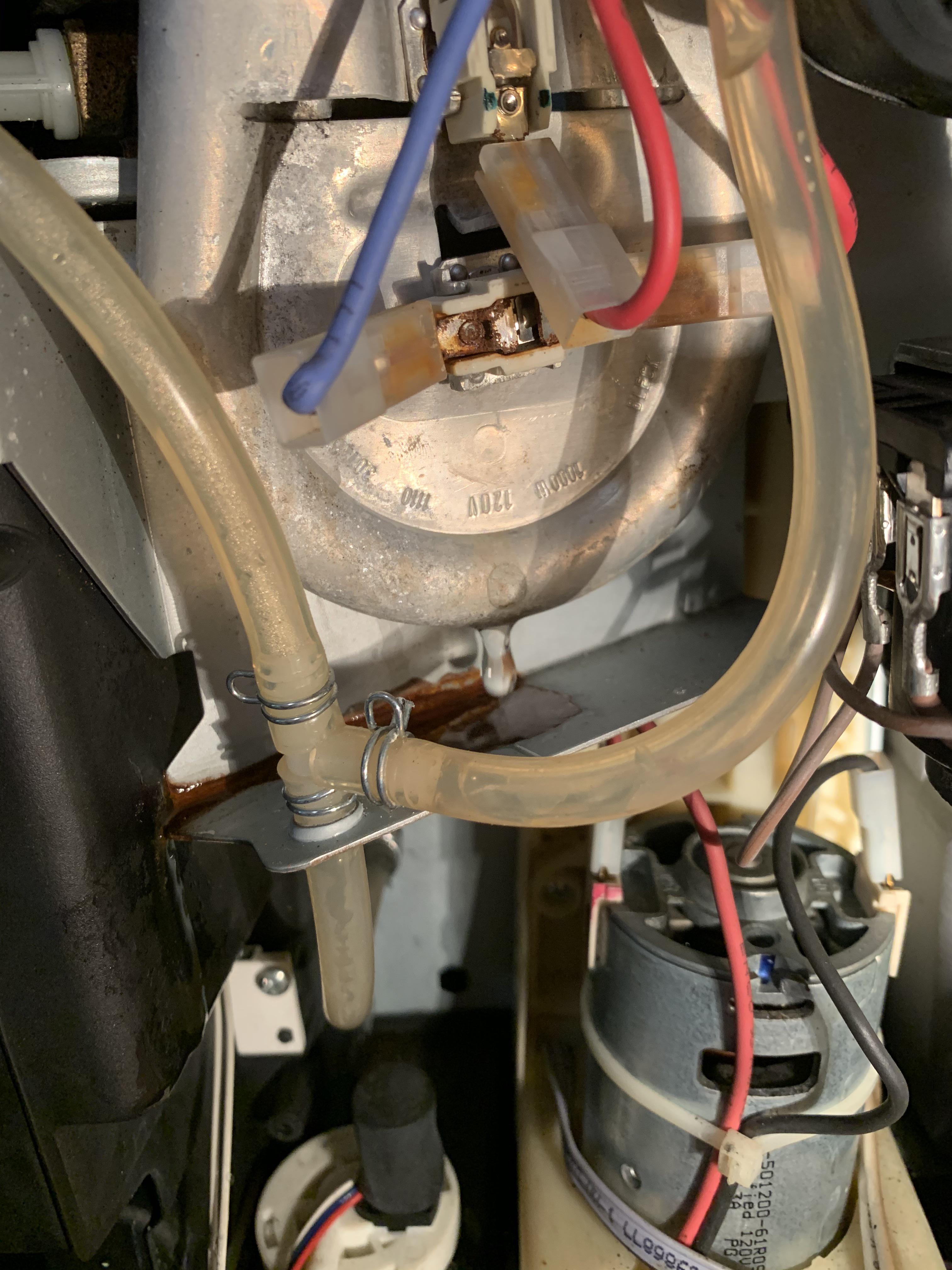 Delonghi Magnifica 3300 Leak r/nespresso