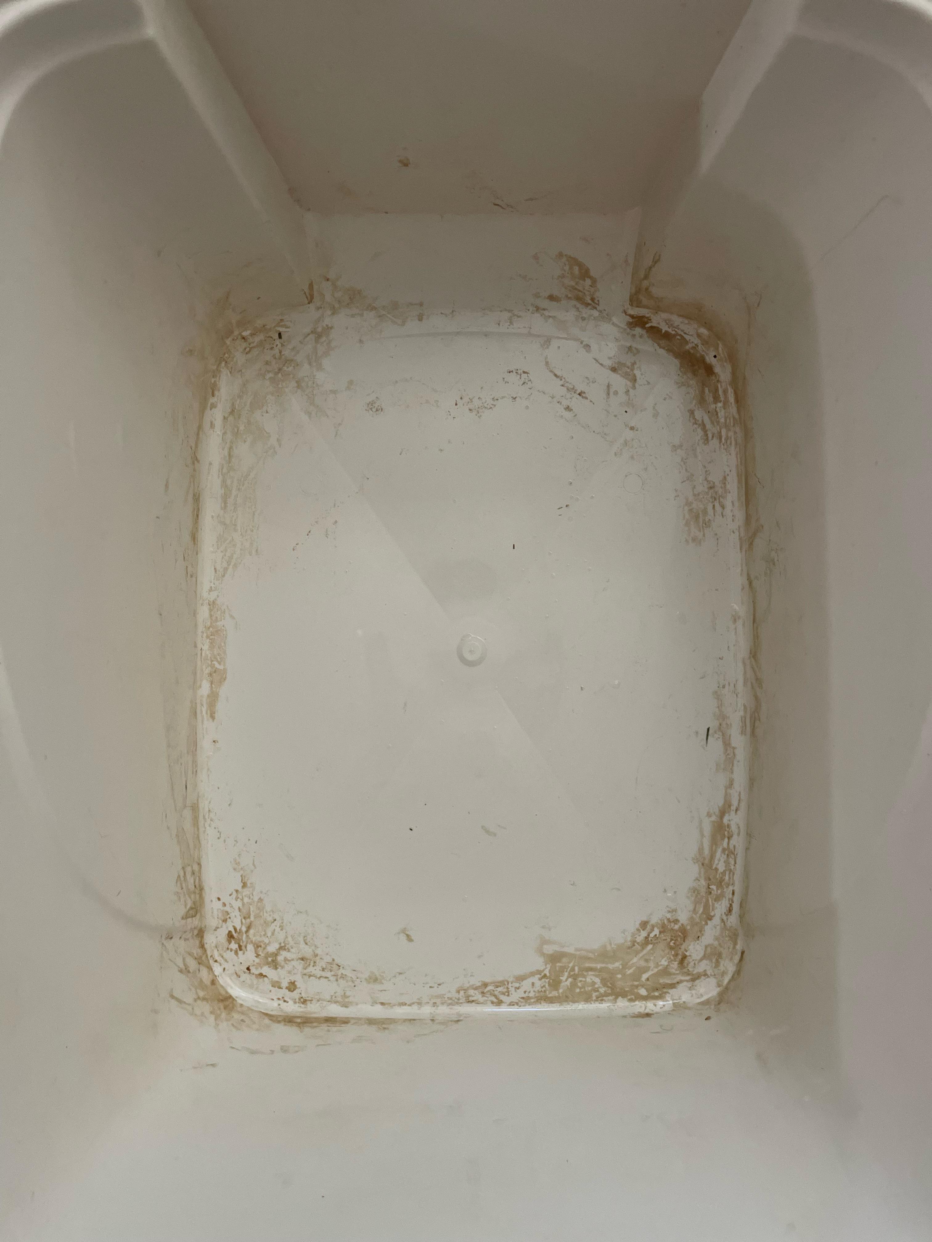 How do I clean this pee residue? I tried a disinfecting wipe and then