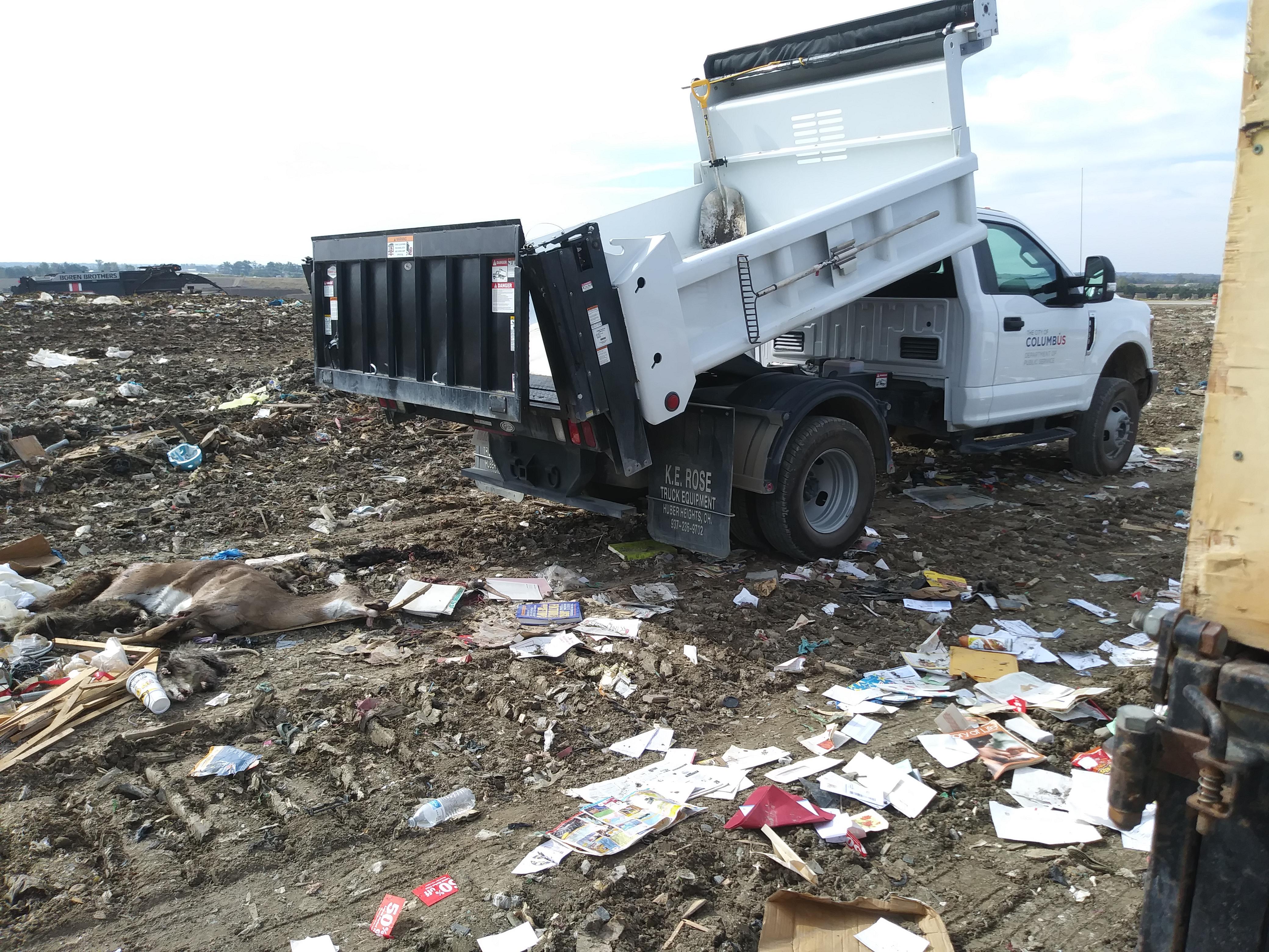 The city just dumps roadkill at the dump apparently r/Columbus