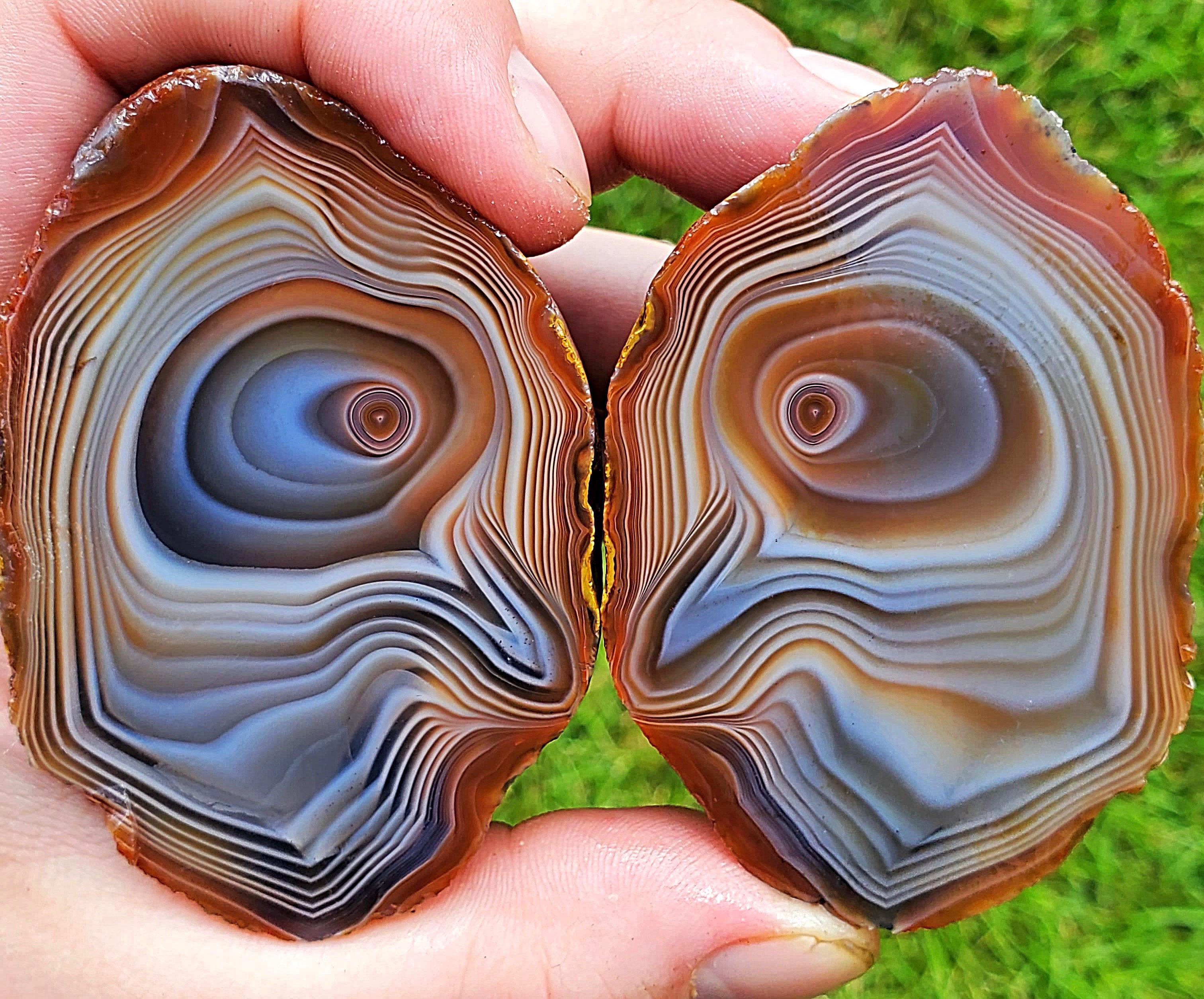 I cut open this Lake Superior Agate a couple weeks ago. 1.2 billion
