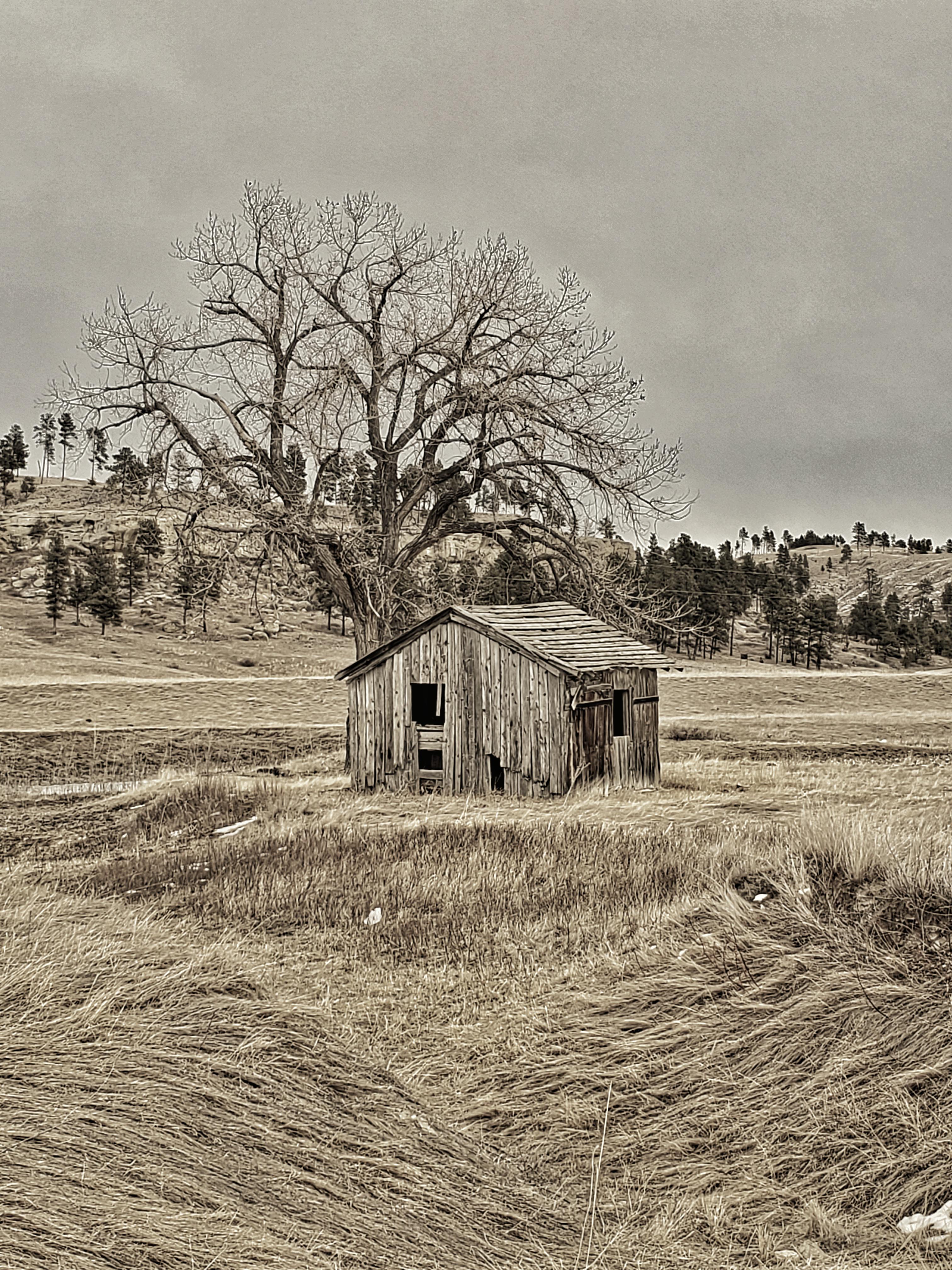 Old homestead in the Bull Mountains. r/Montana