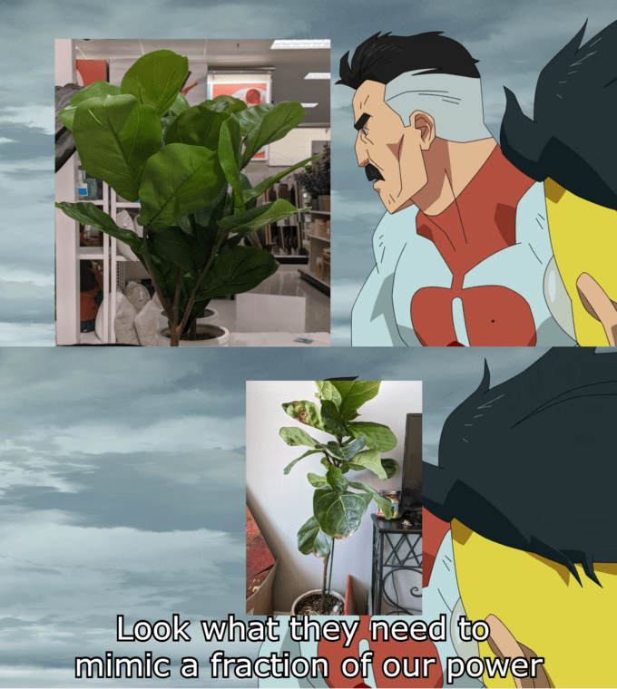 Are memes allowed? Saw a fake fiddle leaf in Target and had to make