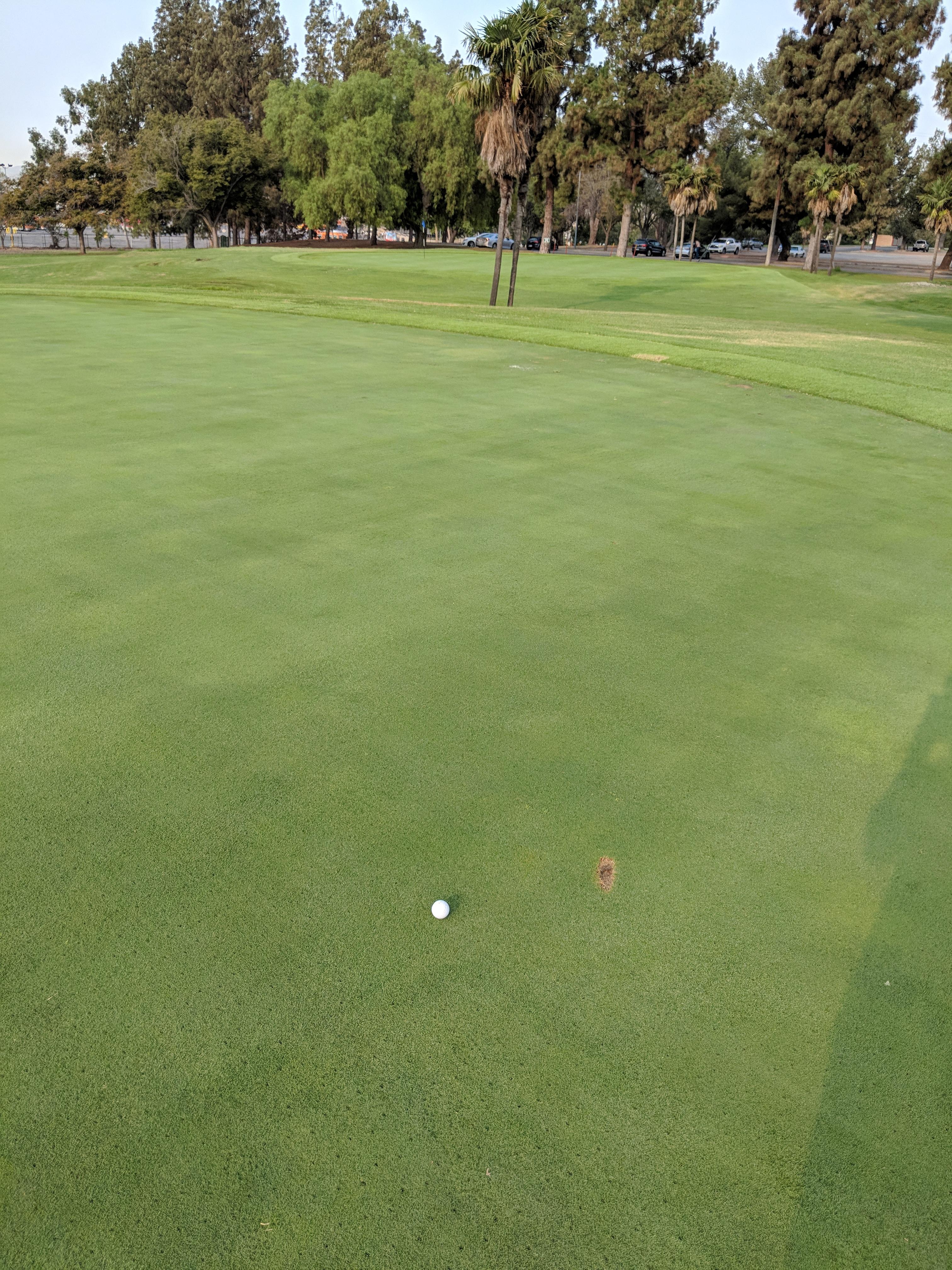 Green under reg. Sorry the hole is on another green. r/golf