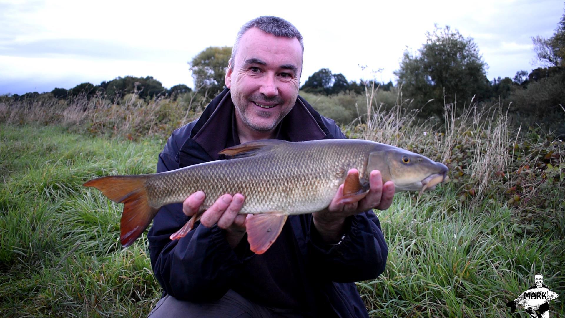 A typical river severn barbel, these fish are famed for their fighting