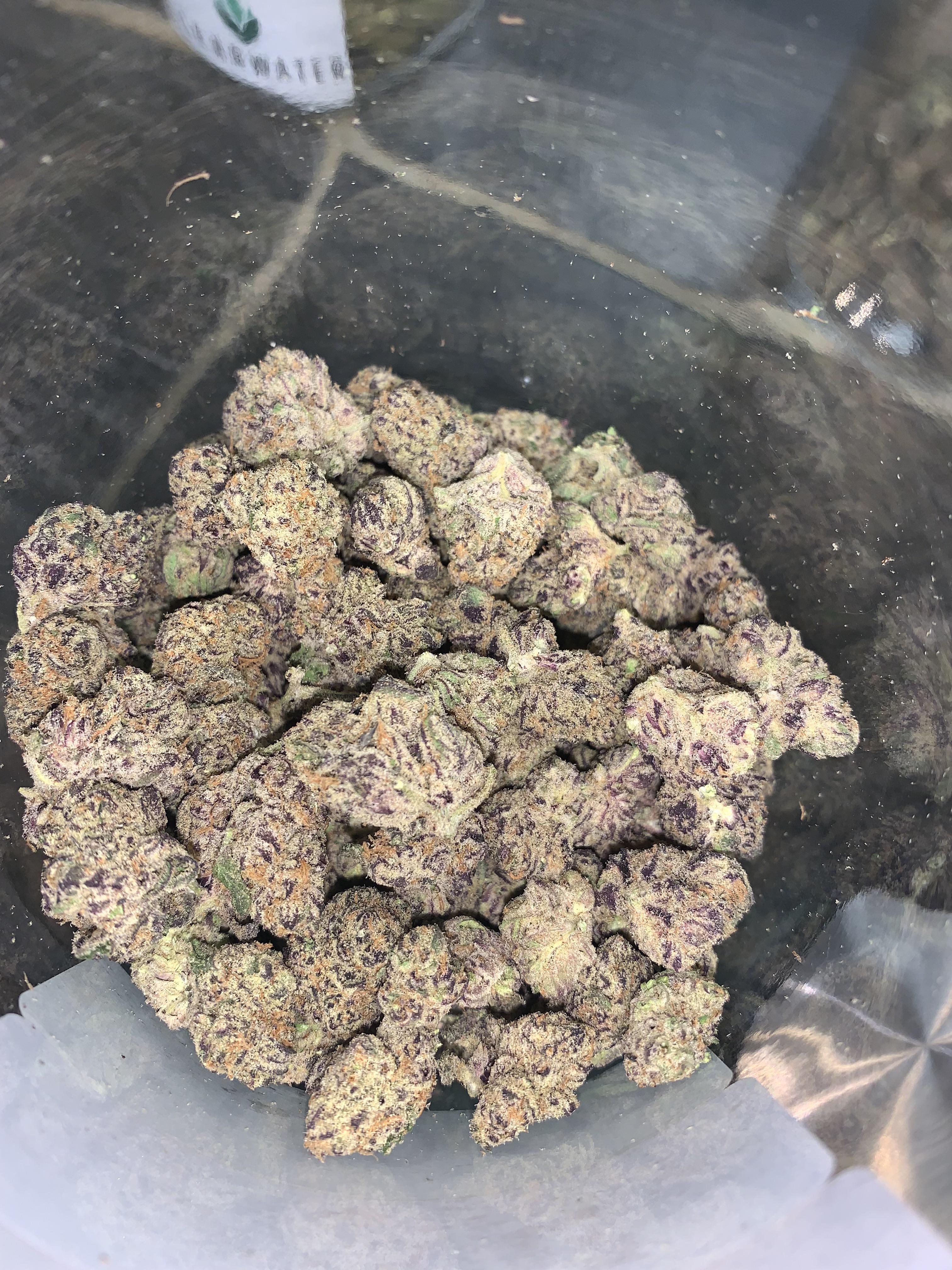 One of my favorite strains Oreos “Grown by Clearwater” r/trees