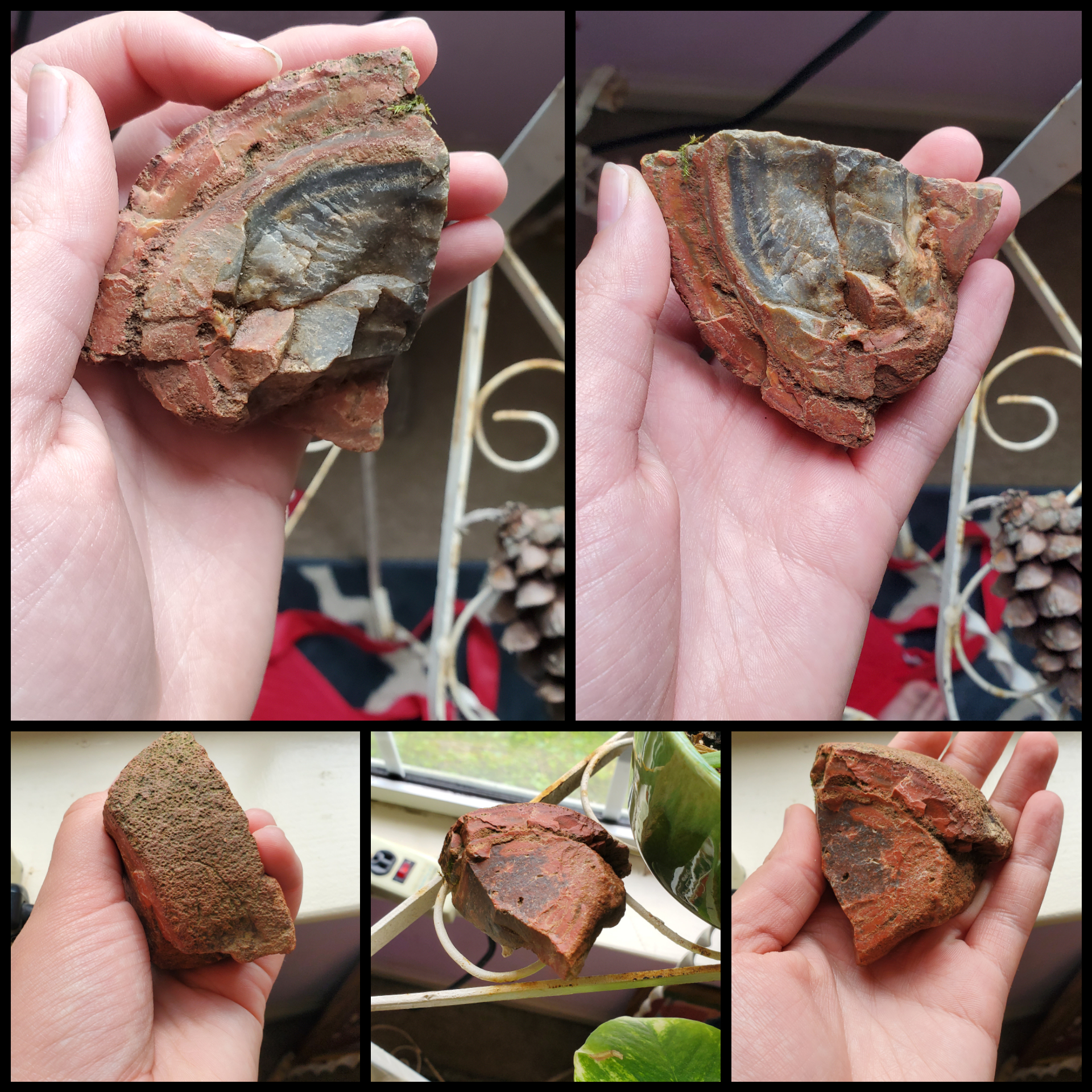 Agate? Jasper? Something else? Found in Middle Tennessee. r/whatsthisrock