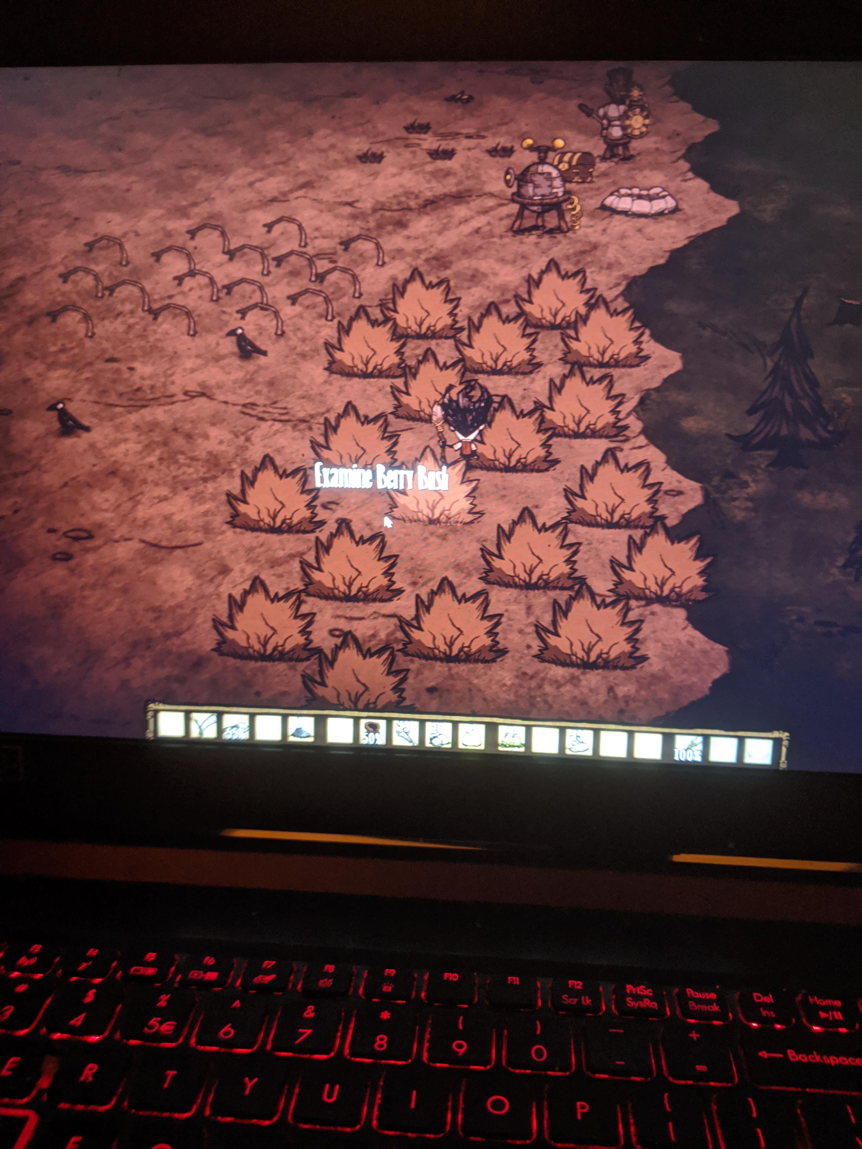 Don't Starve Why won't they grow? Don't Starve