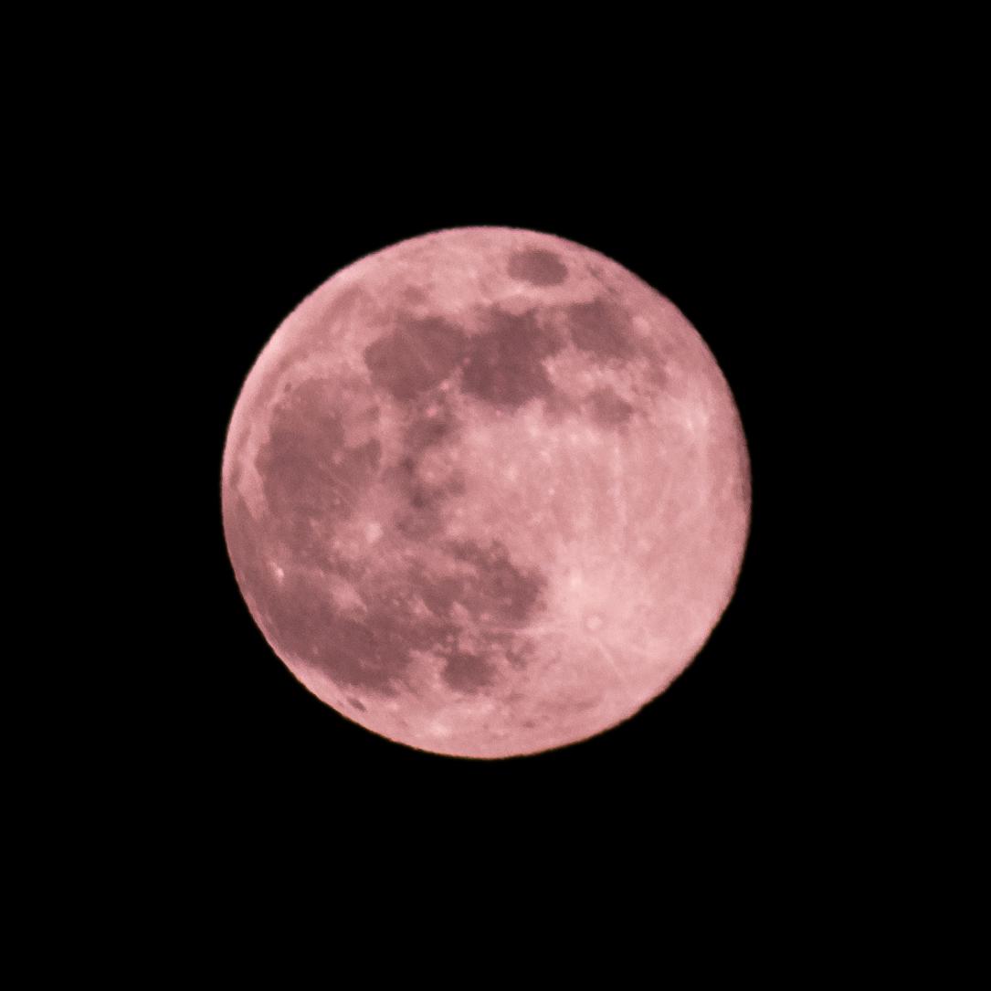 Pink moon tonight shot from Vancouver r/vancouver