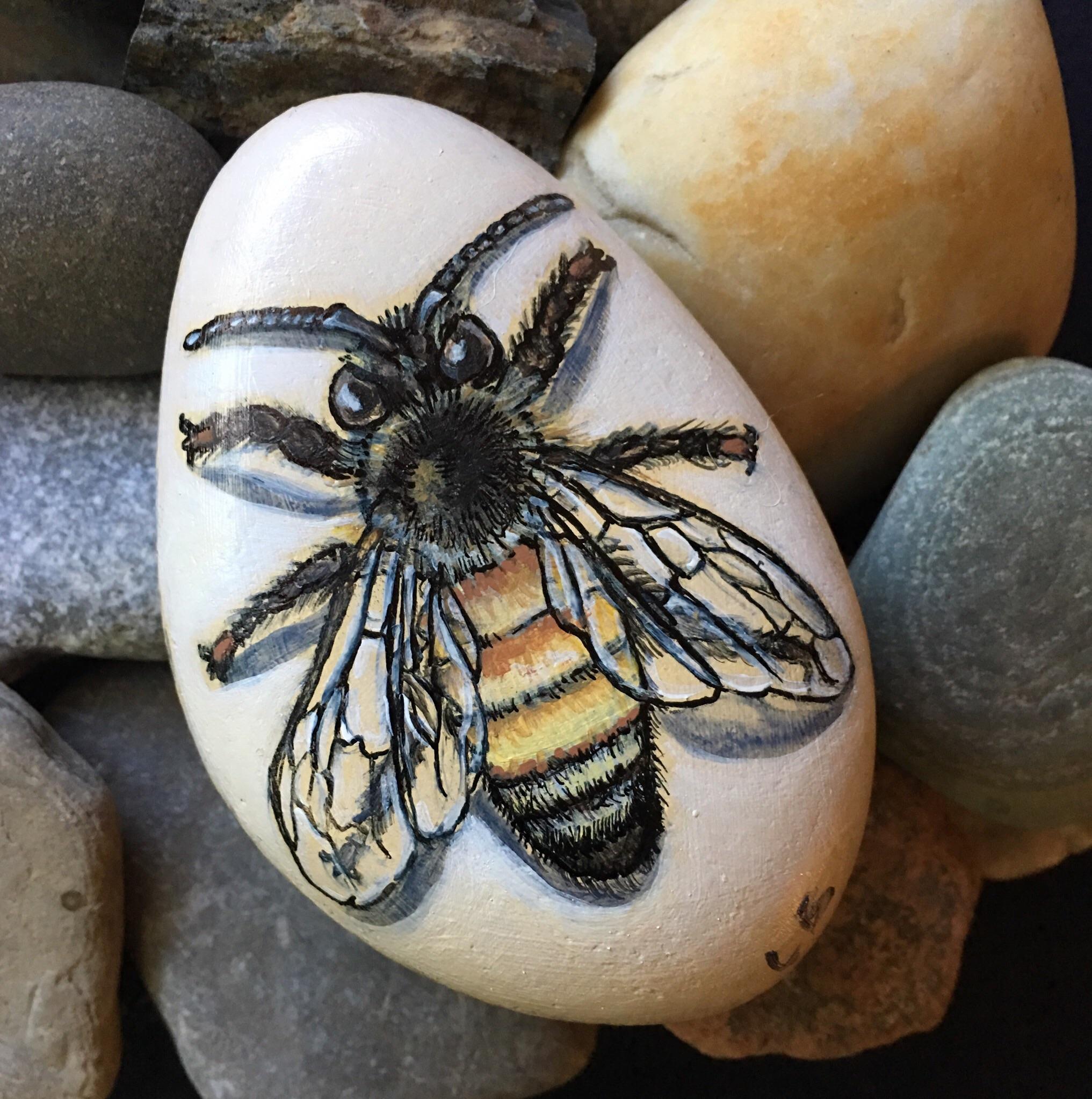 Queen Bee Painted Rock 🐝 r/PaintedRocks