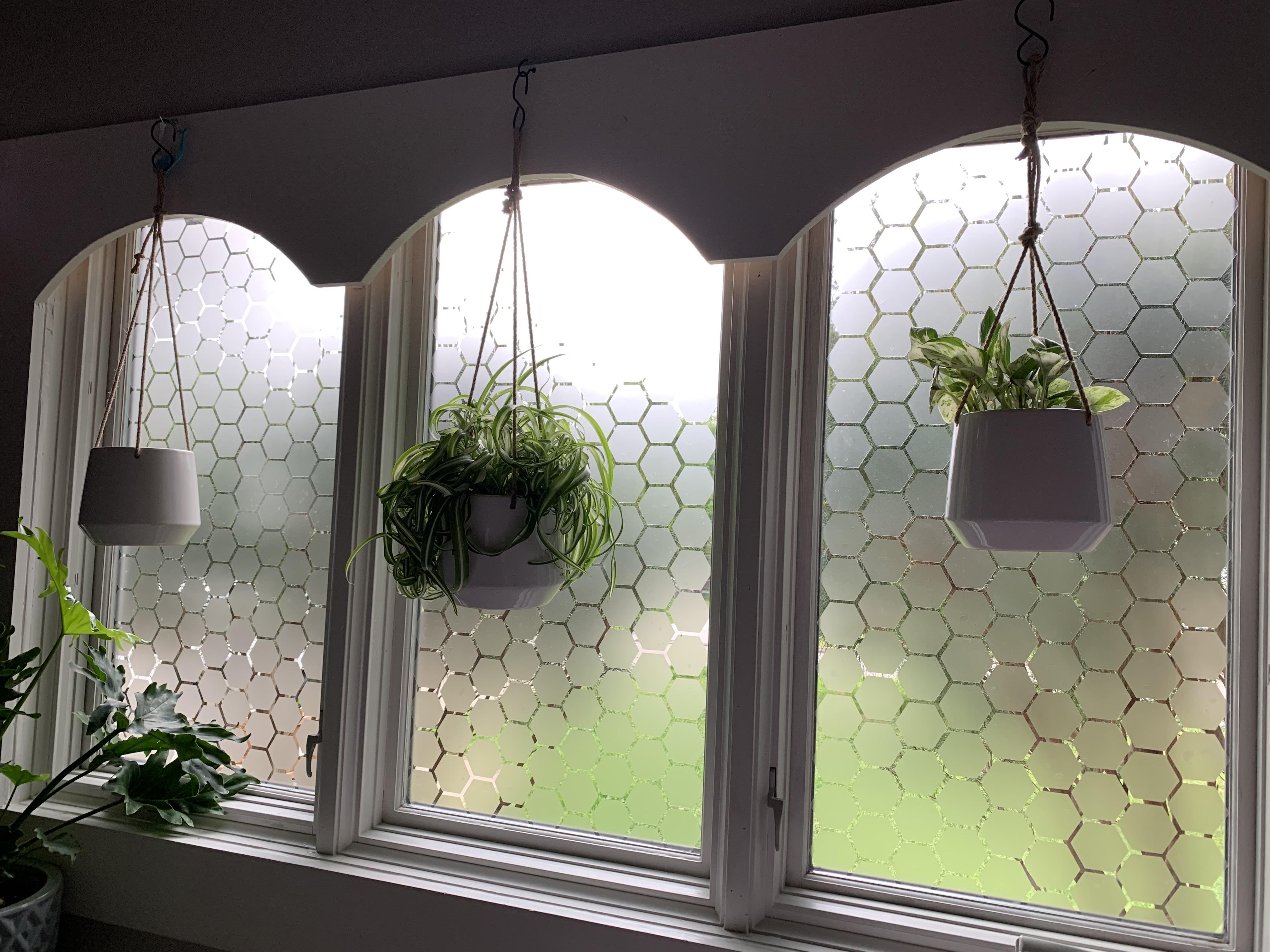 Cut some contact paper, put on windows, now privacy from the street