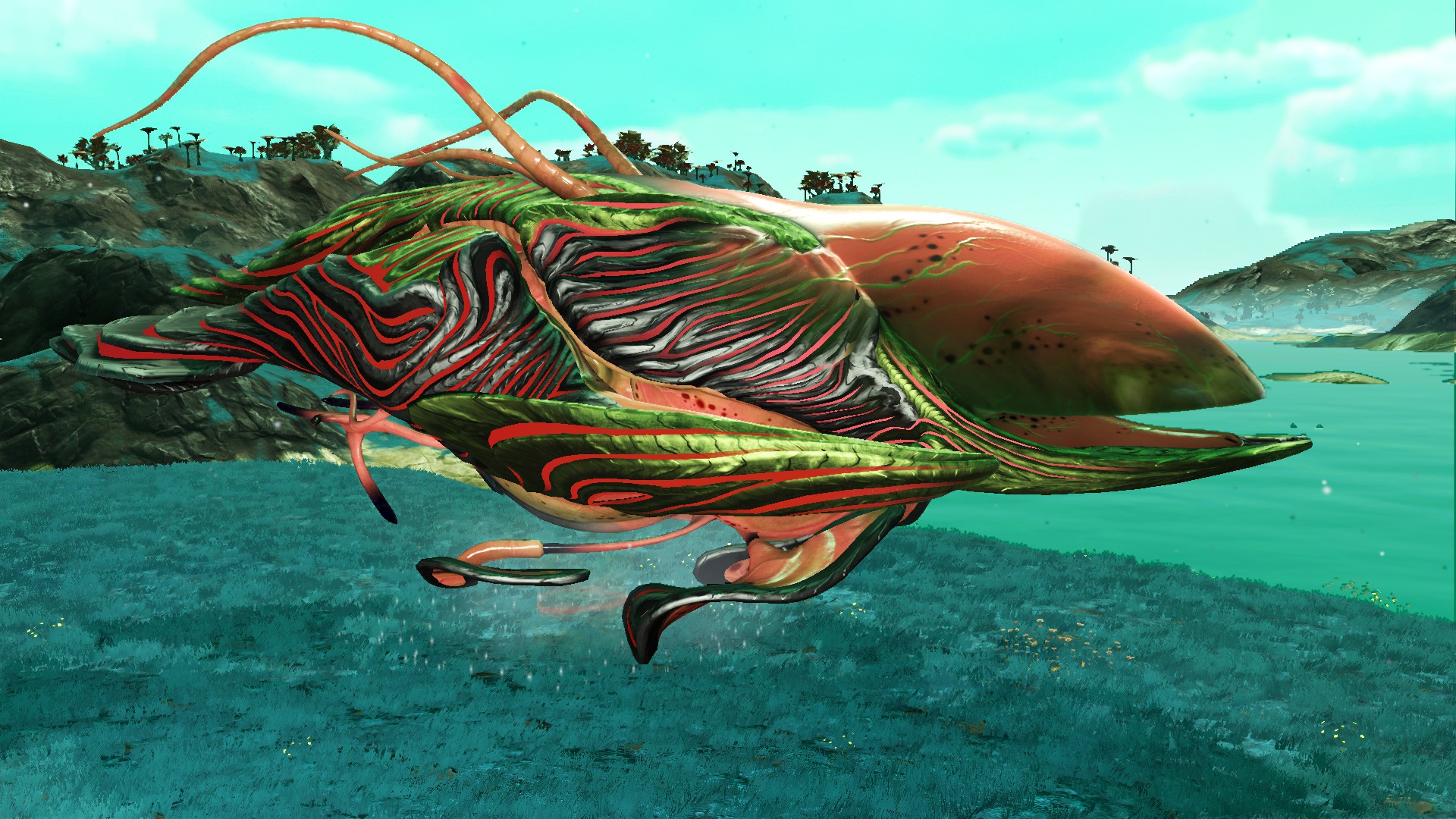 Living Ship. Red skin and light. Black and greenish golden Armor. Seed