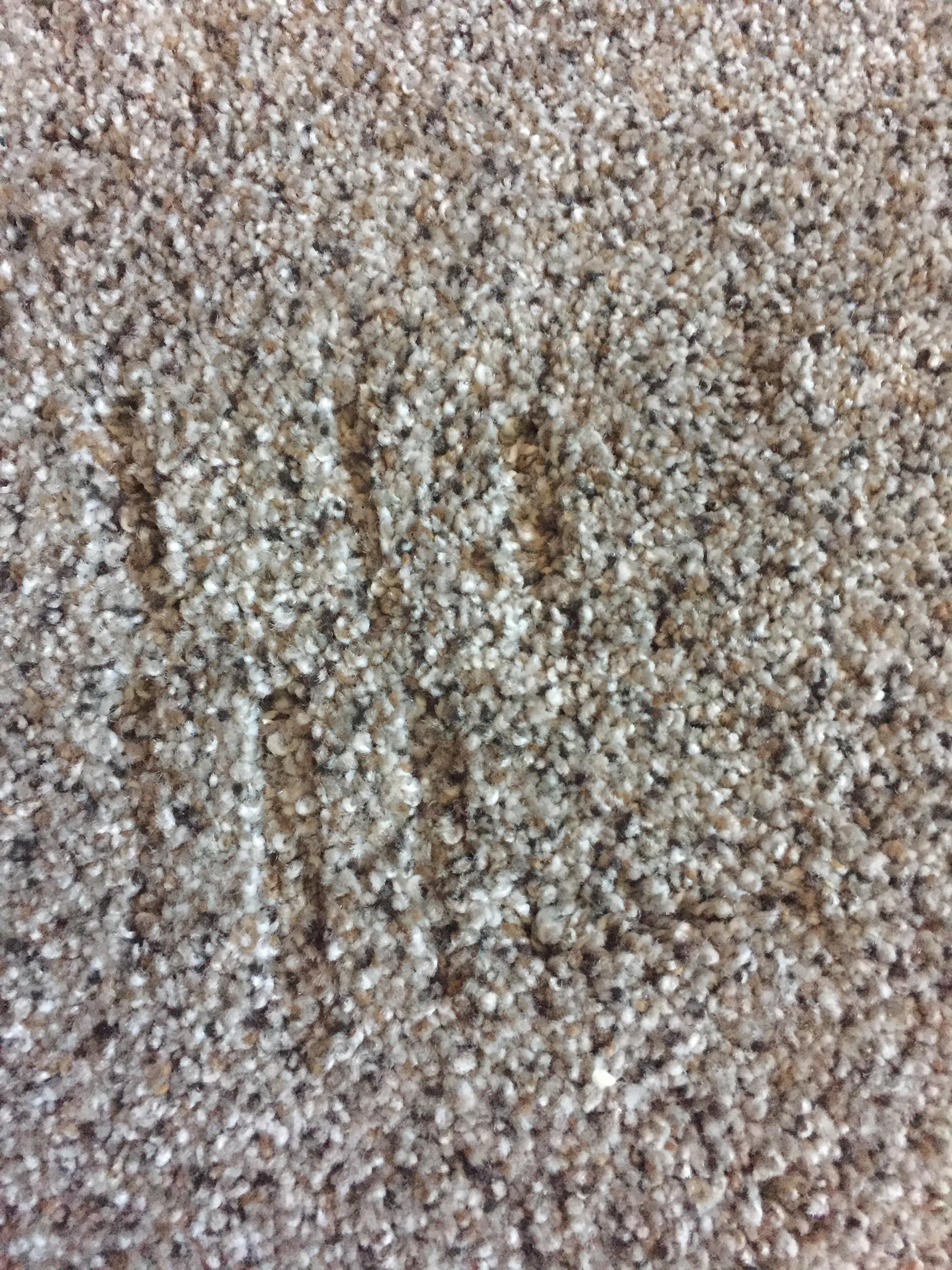 my new carpet is so dope r/lossedits