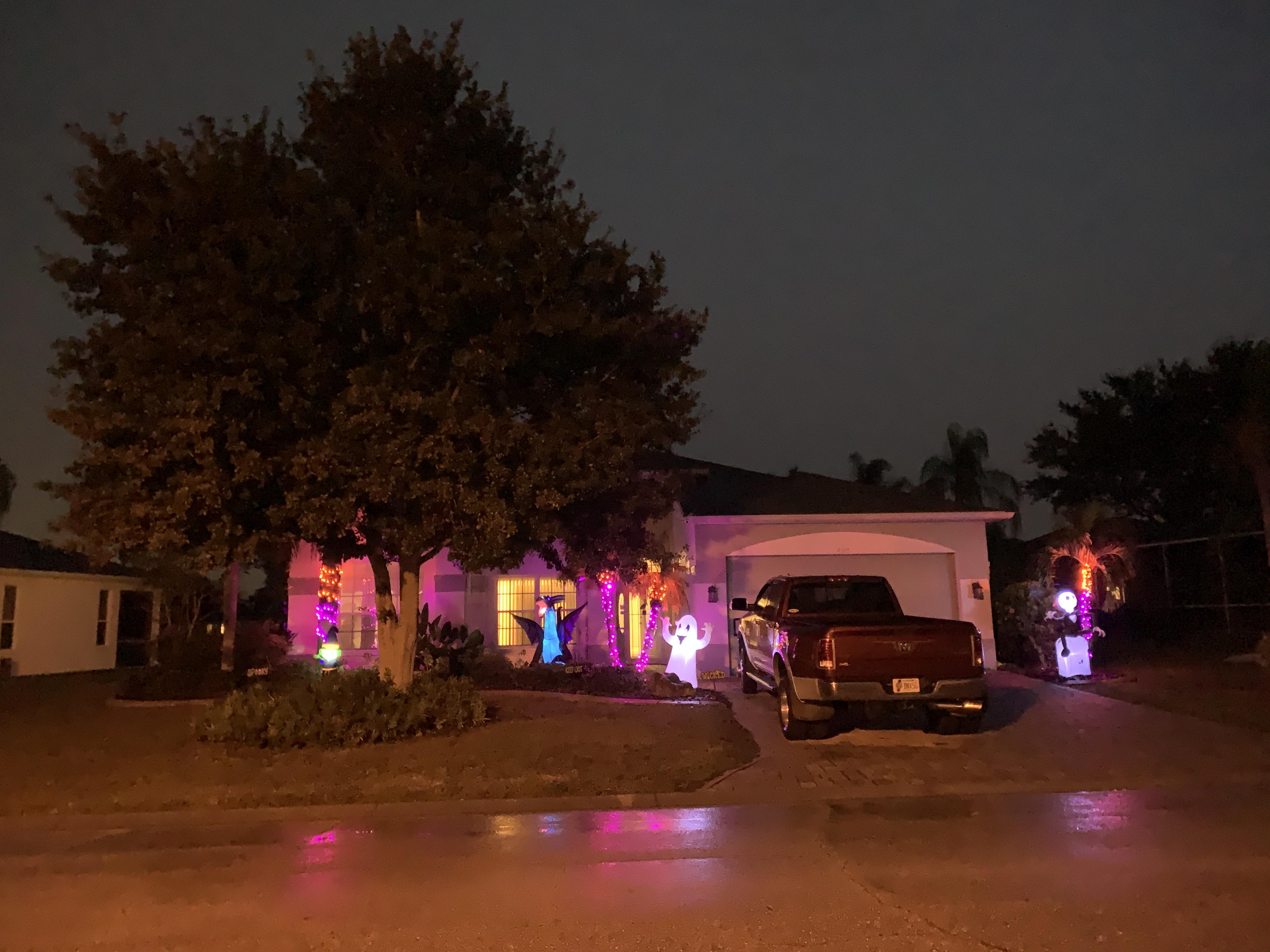 Don’t forget to decorate your palm trees for Halloween! : r/halloween