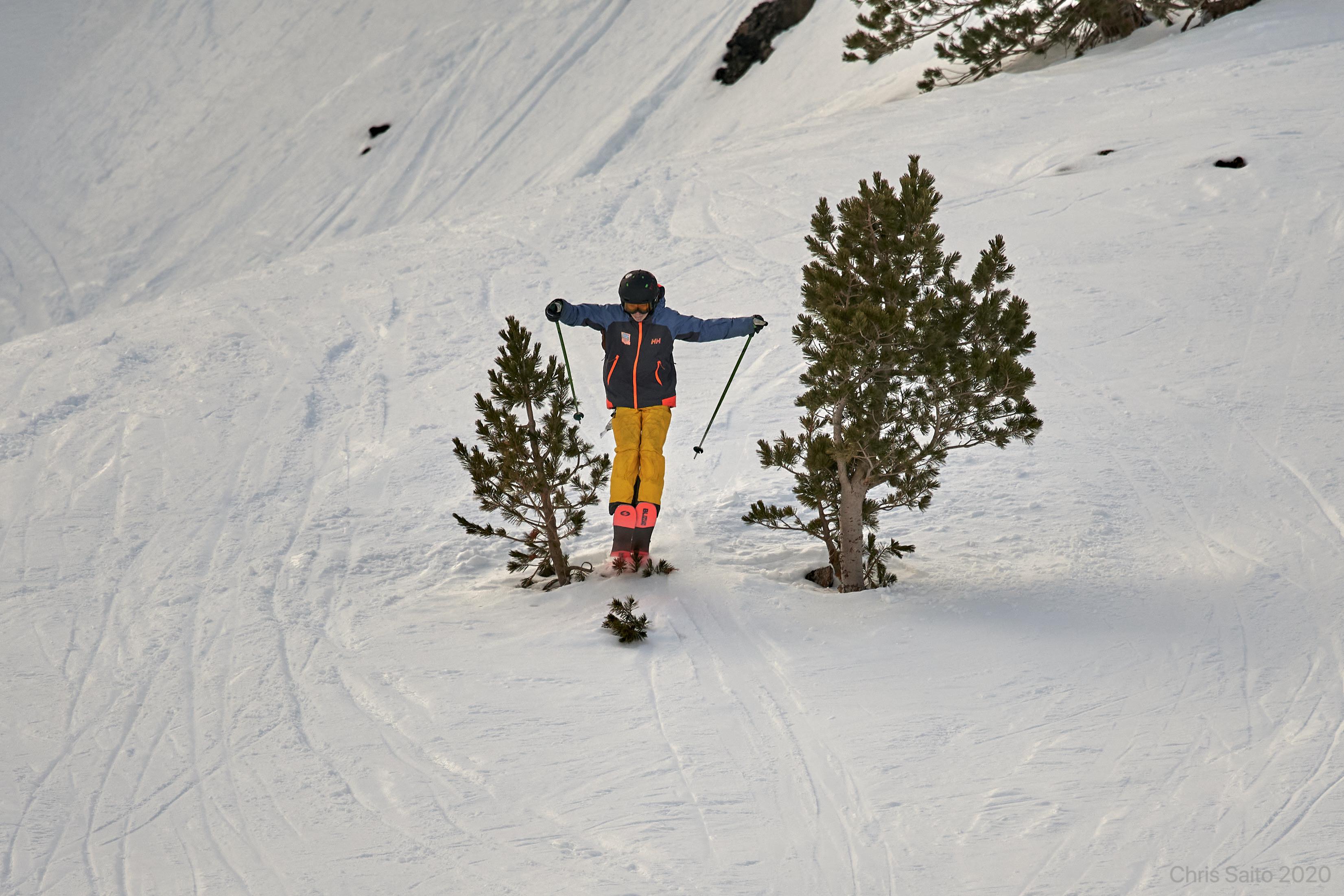 Tree hopping 🌲 r/skiing