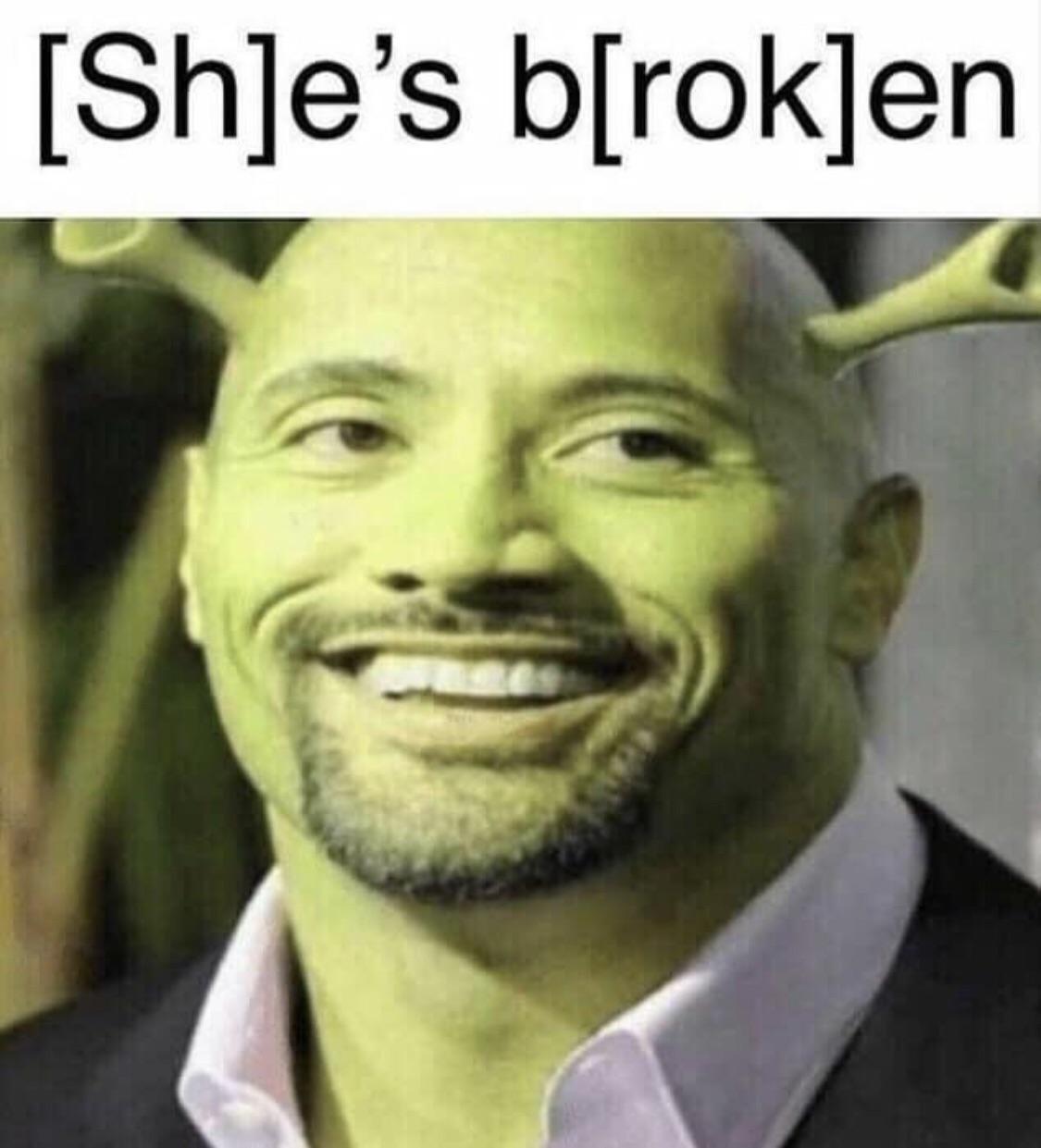 Shrok is broken memes