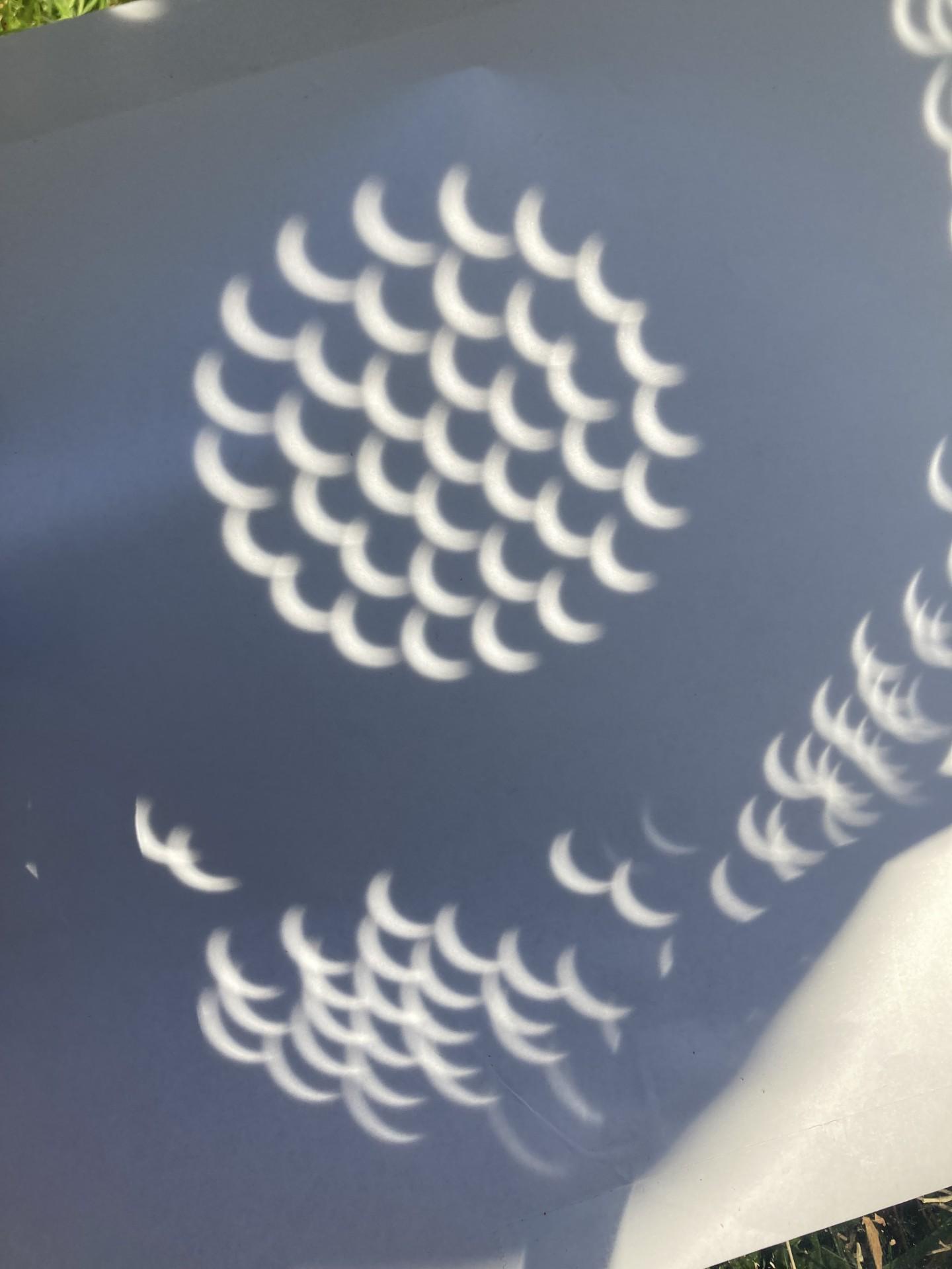 colander eclipse r/solareclipse