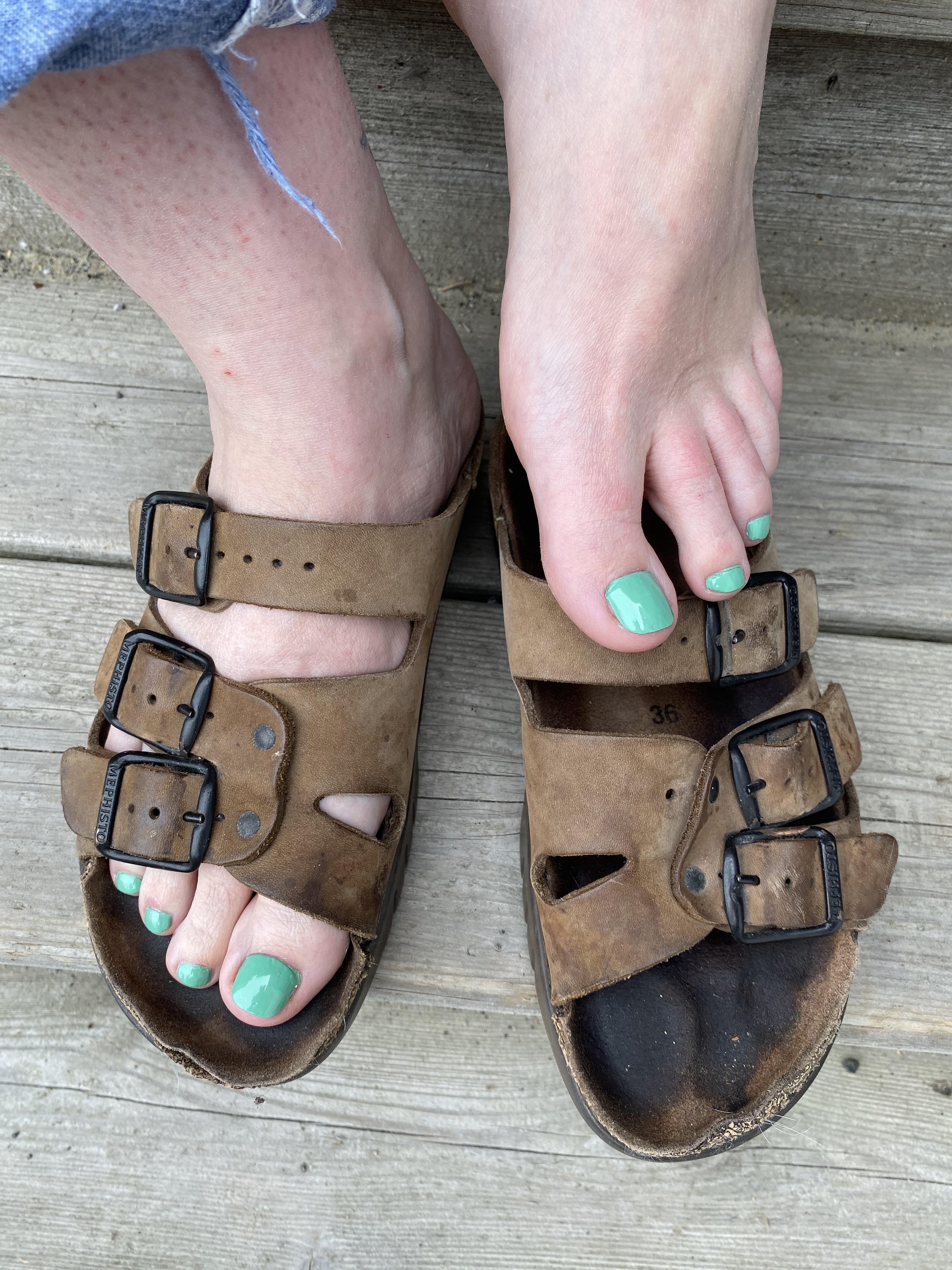 Time for yard work on my well worn (smelly) sandals! Will be switching to crocs as it warms up!😁