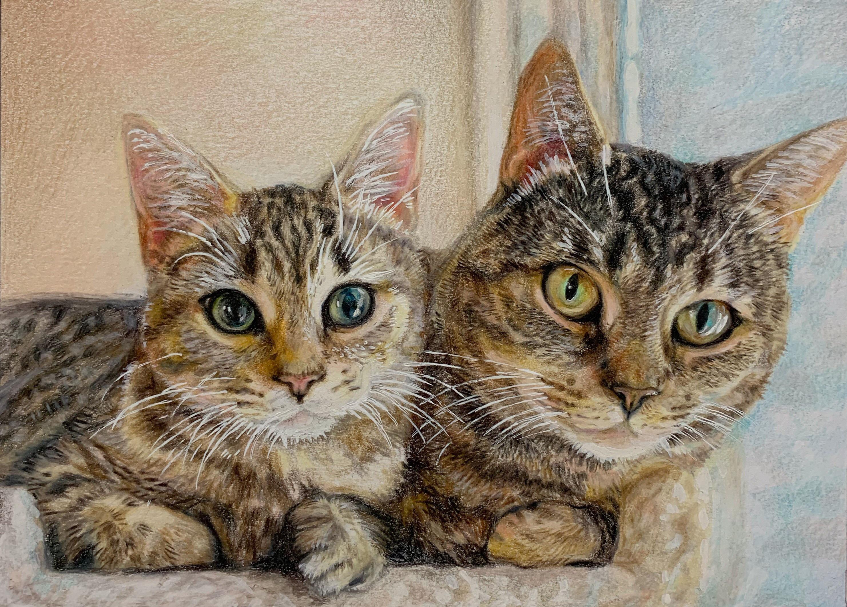 Can anyone give advice about pricing for pet portrait commissions? More