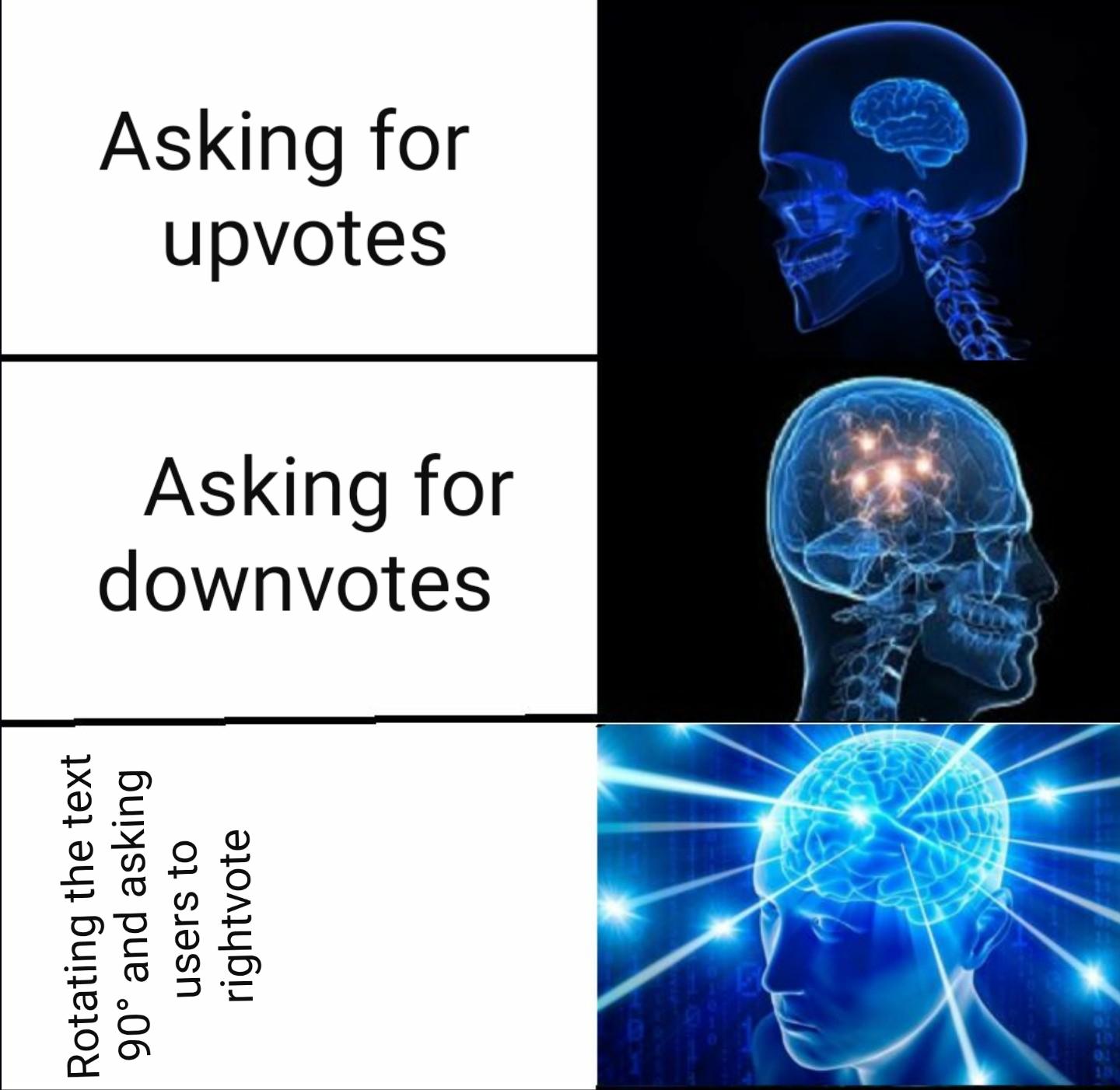 Please dont tilt your screen forward and backwardsvote r/Lithuaniakittens