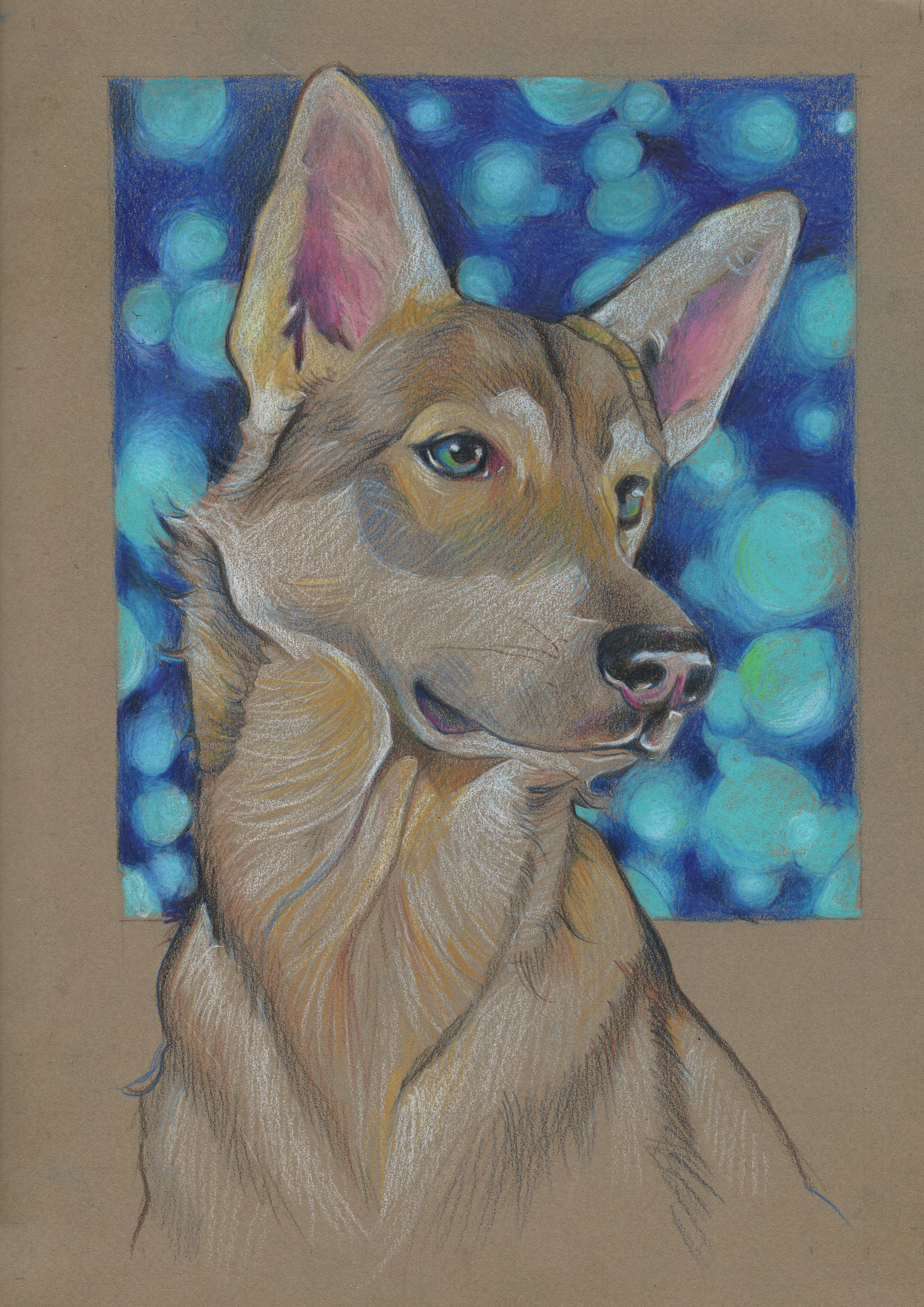 Dog, Coloured pencil, 9x12" r/Art