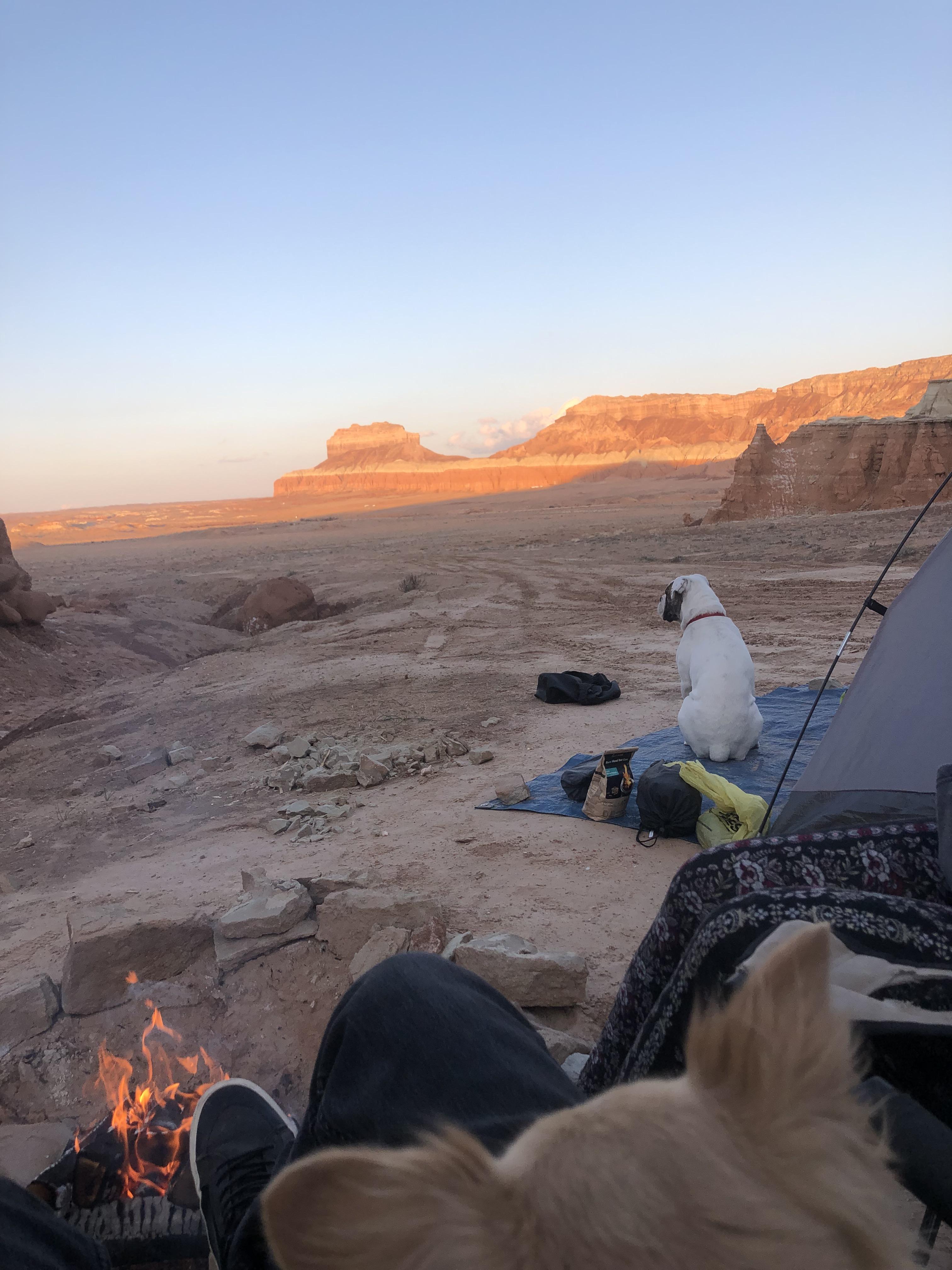 Camping on BLM land, outside of Goblin Valley in Central Utah r/camping