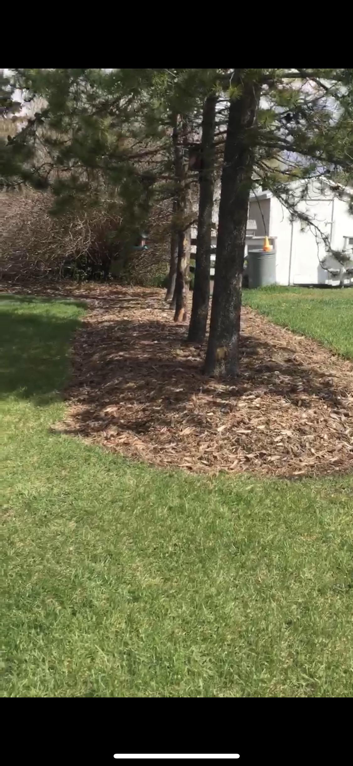 Natural garden bed edging cost r/lawncare