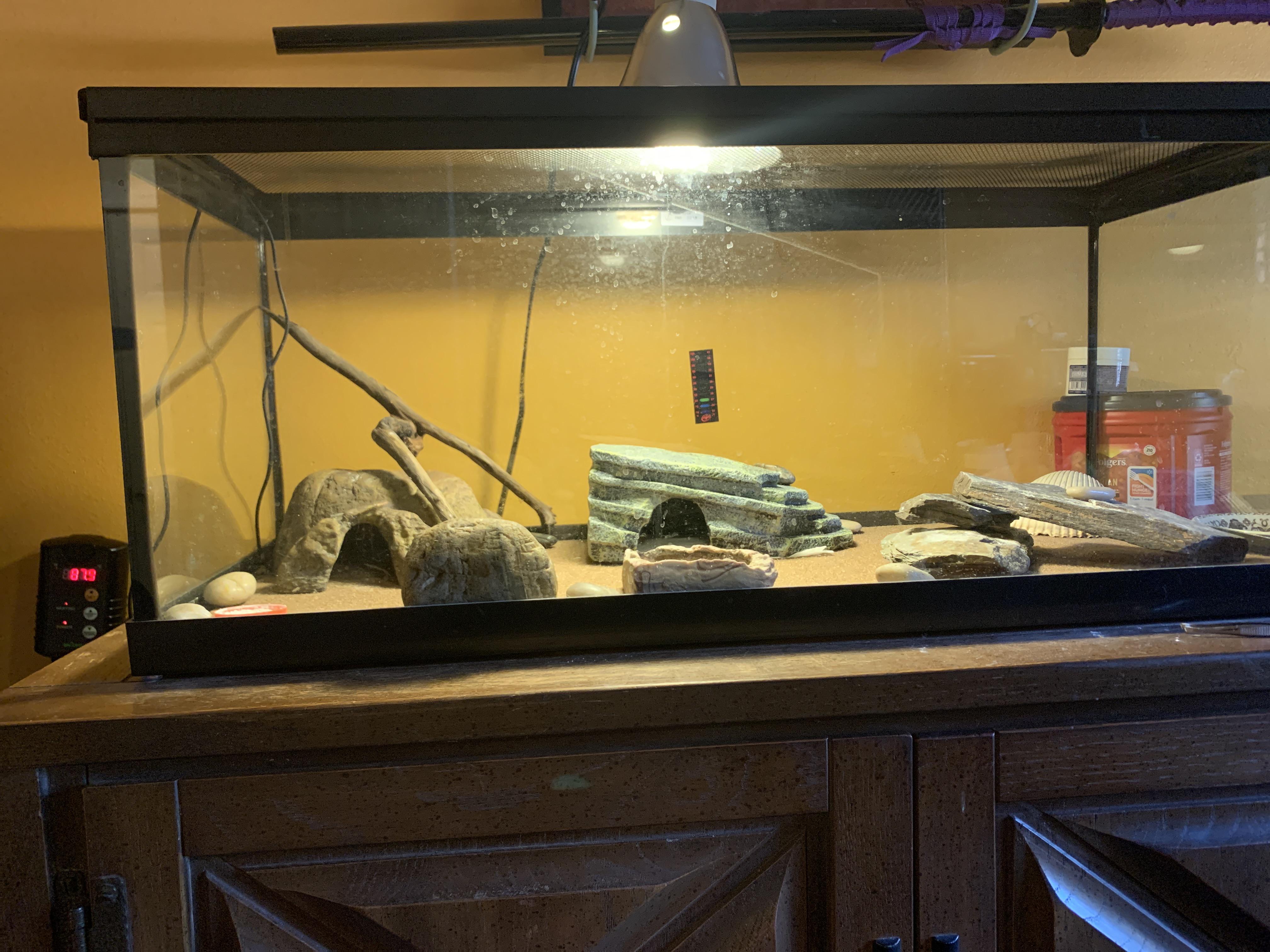 Tank suggestions? I have a heat mat under the right hide middle hide is
