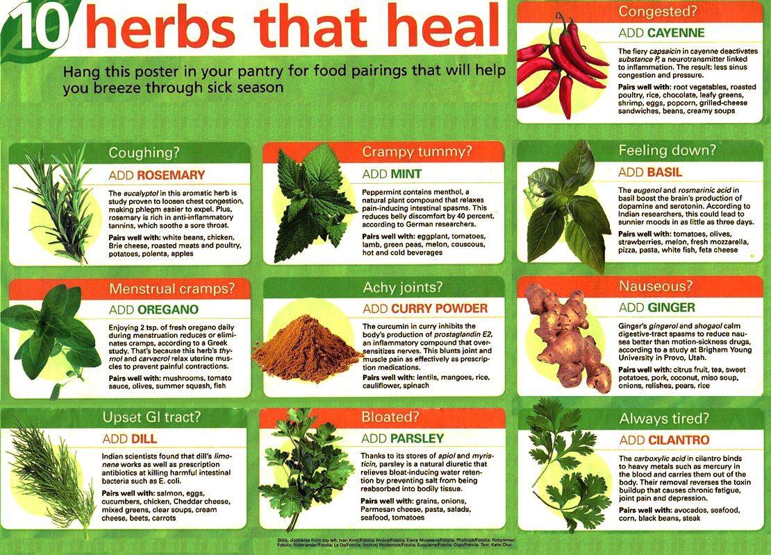 Herbs that heal Interesting guide. r/coolguides